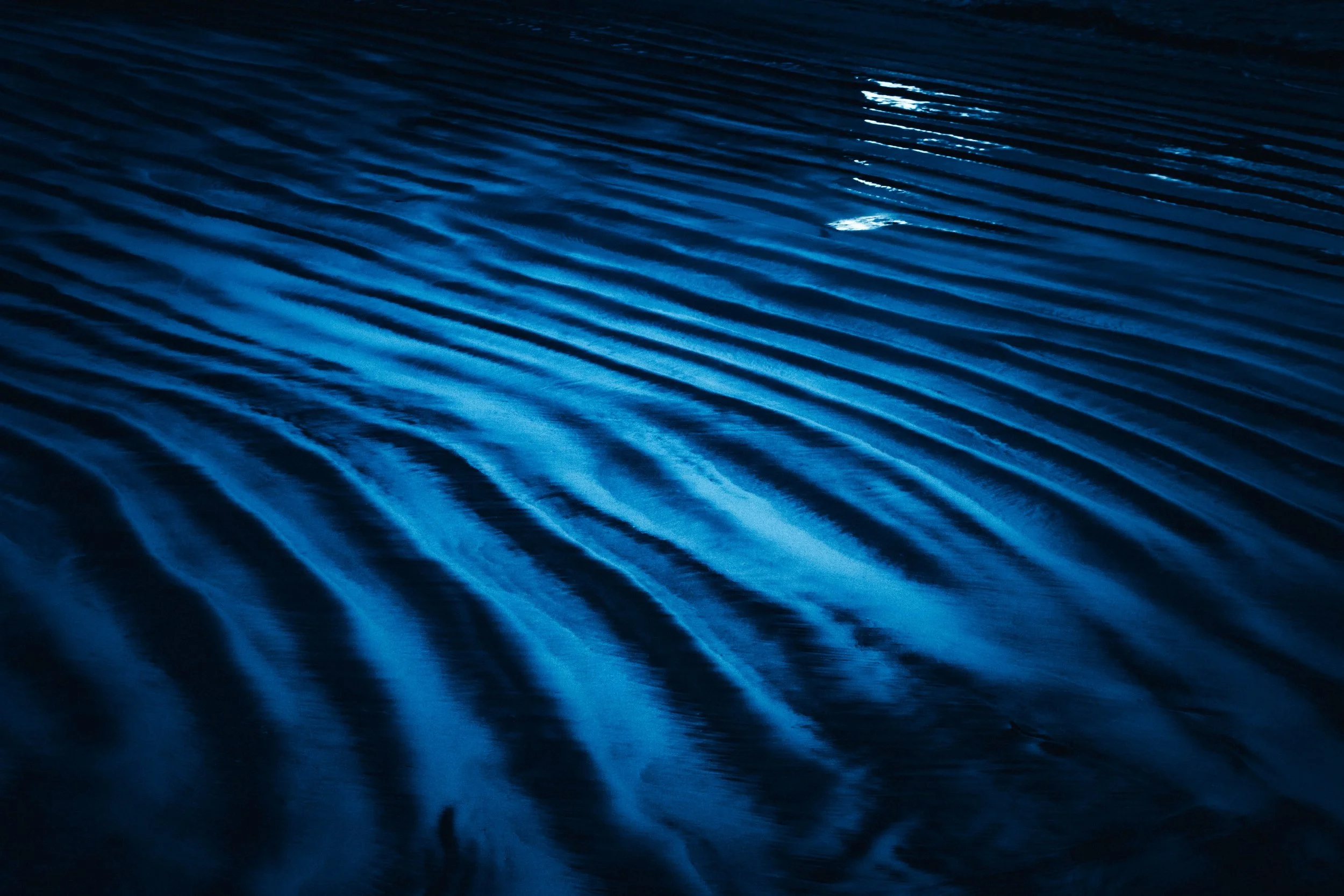 Paysage rocheux et végétation fragile de l'île de Ua-Pou aux Marquises, baigné dans une lumière crépusculaire teintée de bleu. Photographie issue du projet "Retiens le bleu" d'Edwina Bellahouel, développé dans le cadre du mentorat photo en ligne de P