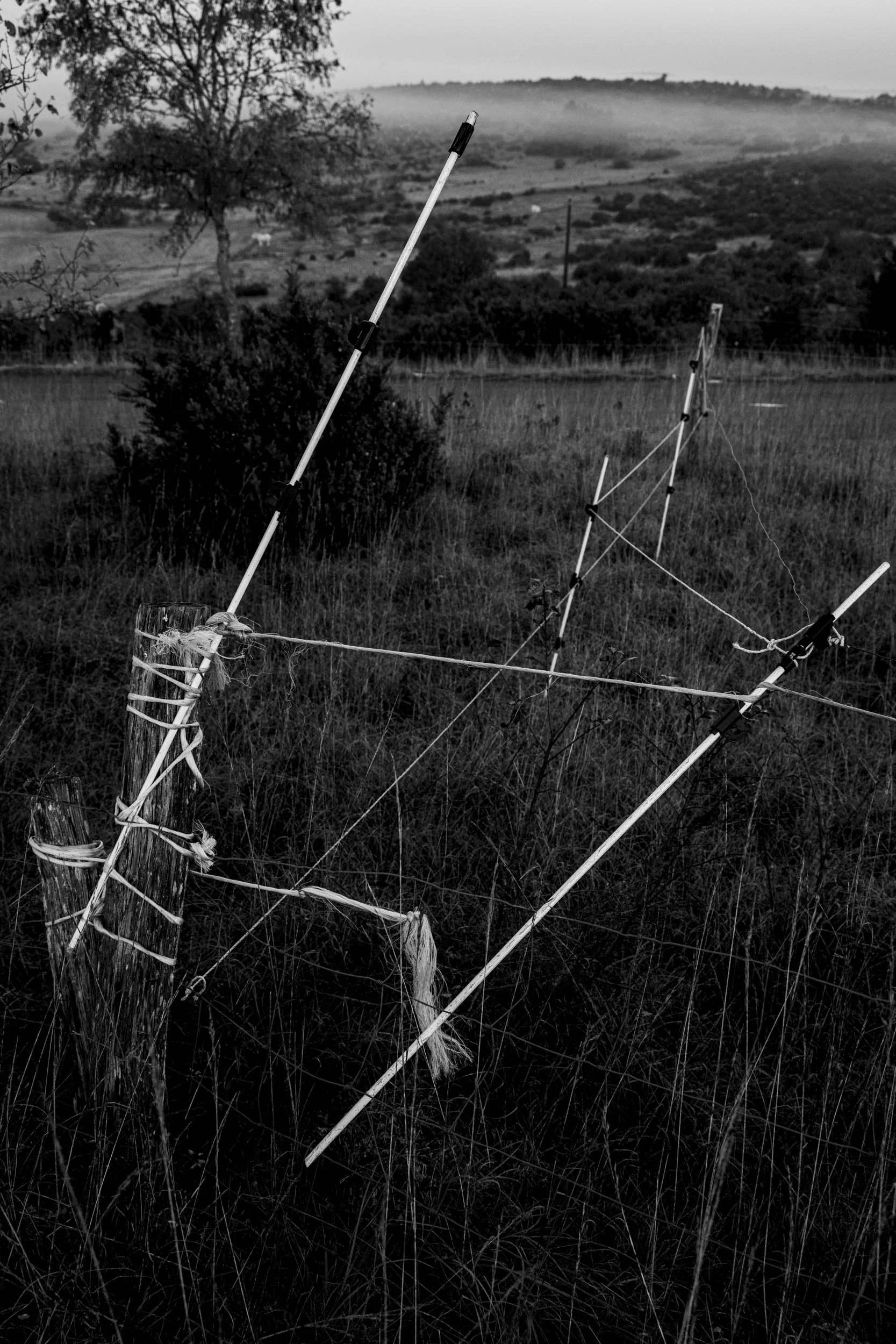 Série photo de Chris Branruz en noir et blanc dans les Cévennes en Lozère