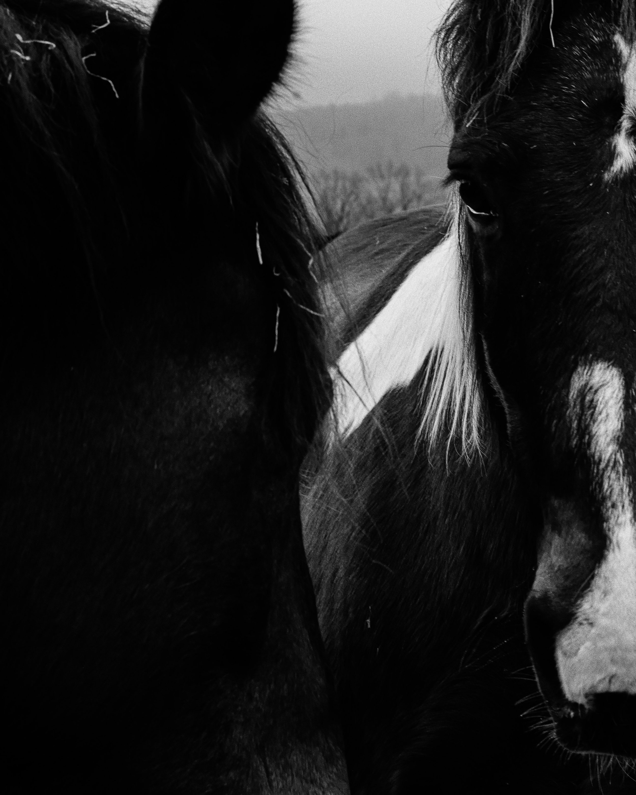 Photographie évoquant l'errance, les souvenirs et la nostalgie. Photographie issue de la série "In Between Days" de Christophe Daviau, développée dans le cadre du mentorat photo en ligne de Préludes Photo.