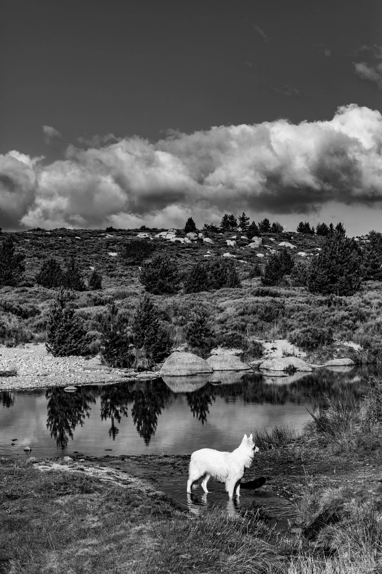 Série photo de Stéphane Ouradou en noir et blanc dans les Cévennes en Lozère