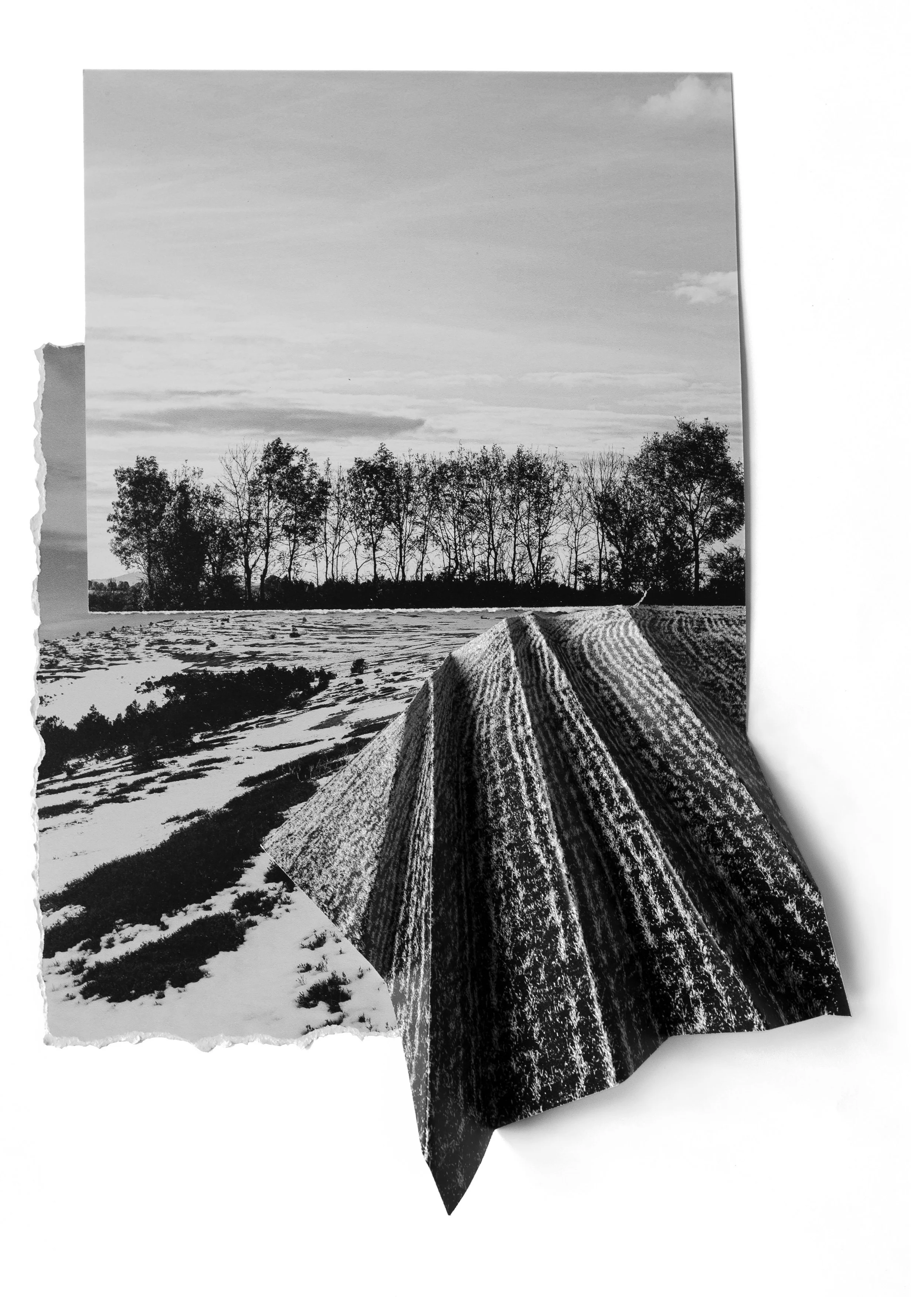 Paysage de la Lozère, capturant sa beauté rude, ses contrastes et l'omniprésence du vent. Photographie issue de la série de Jean-François Pighin, développée dans le cadre du mentorat photo en ligne de Préludes Photo.
