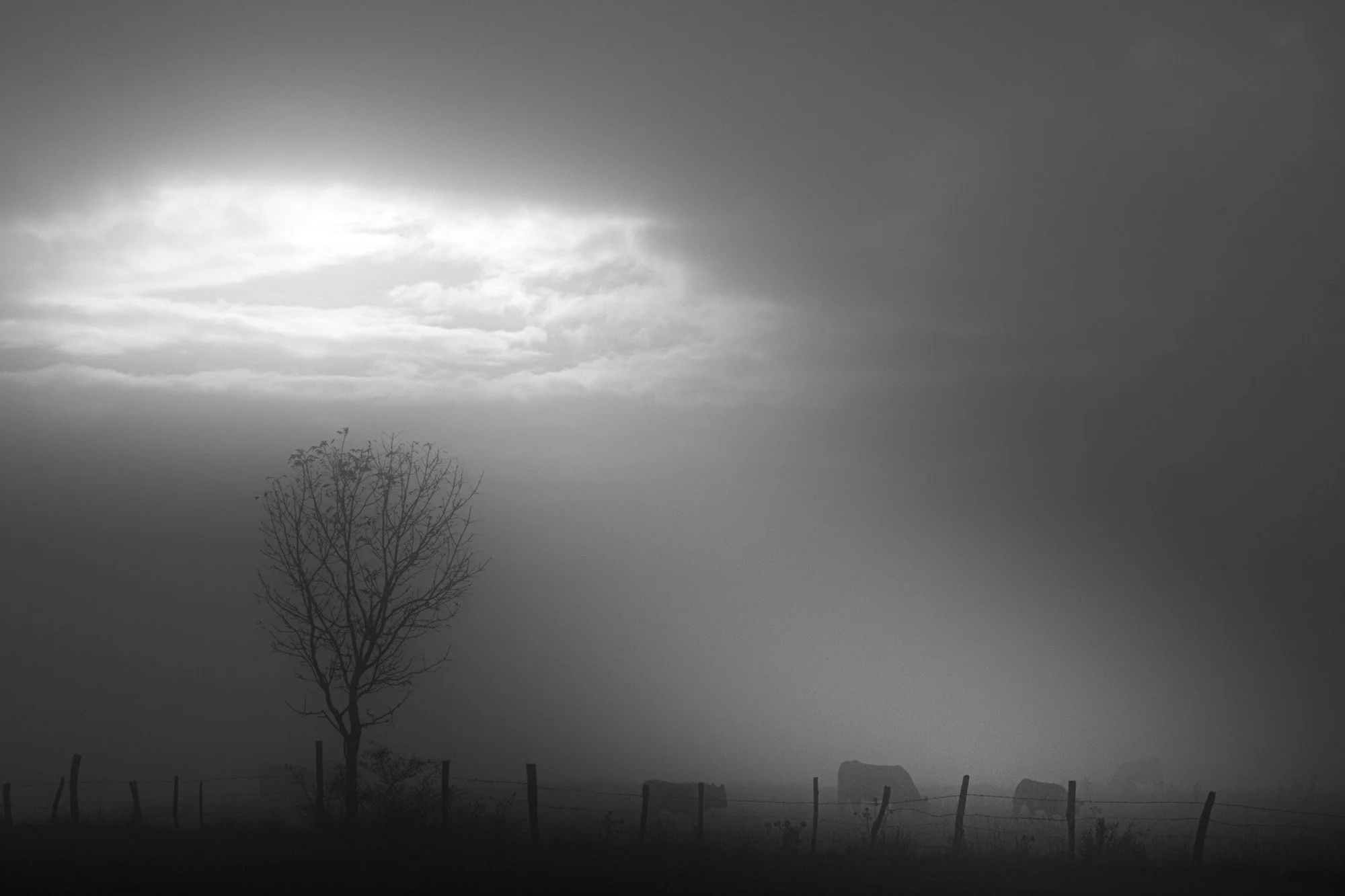 MAGALI_CEVENNES_05.jpg