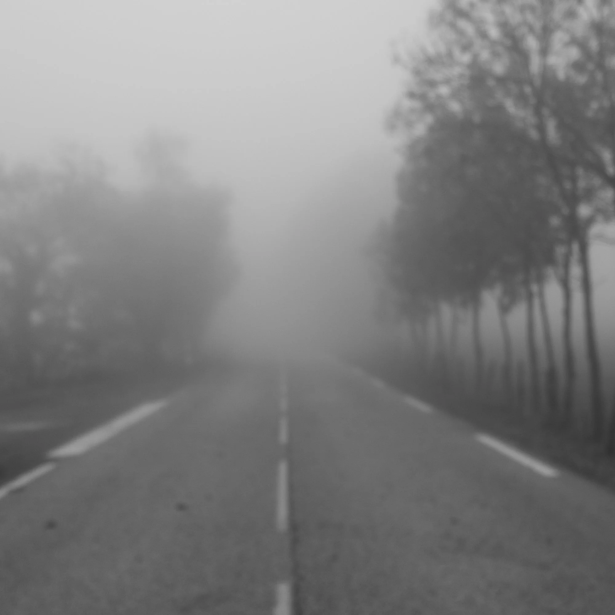 Série photo de Dominique Delorme en noir et blanc dans les Cévennes en Lozère