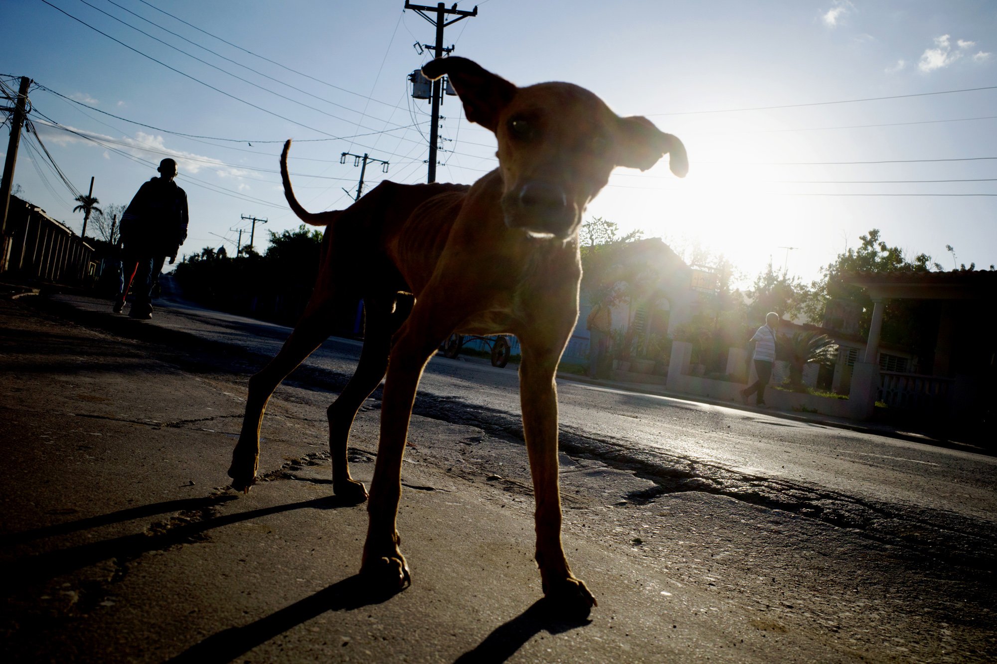 Série photo street à Cuba de Maxime Pronchery durant un workshop