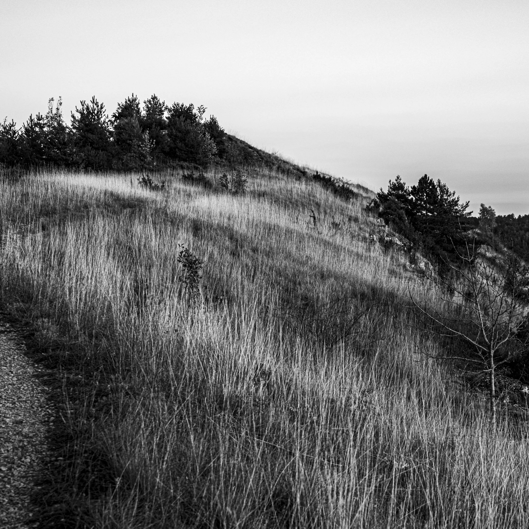 Série photo de Philippe Alliel en noir et blanc dans les Cévennes en Lozère