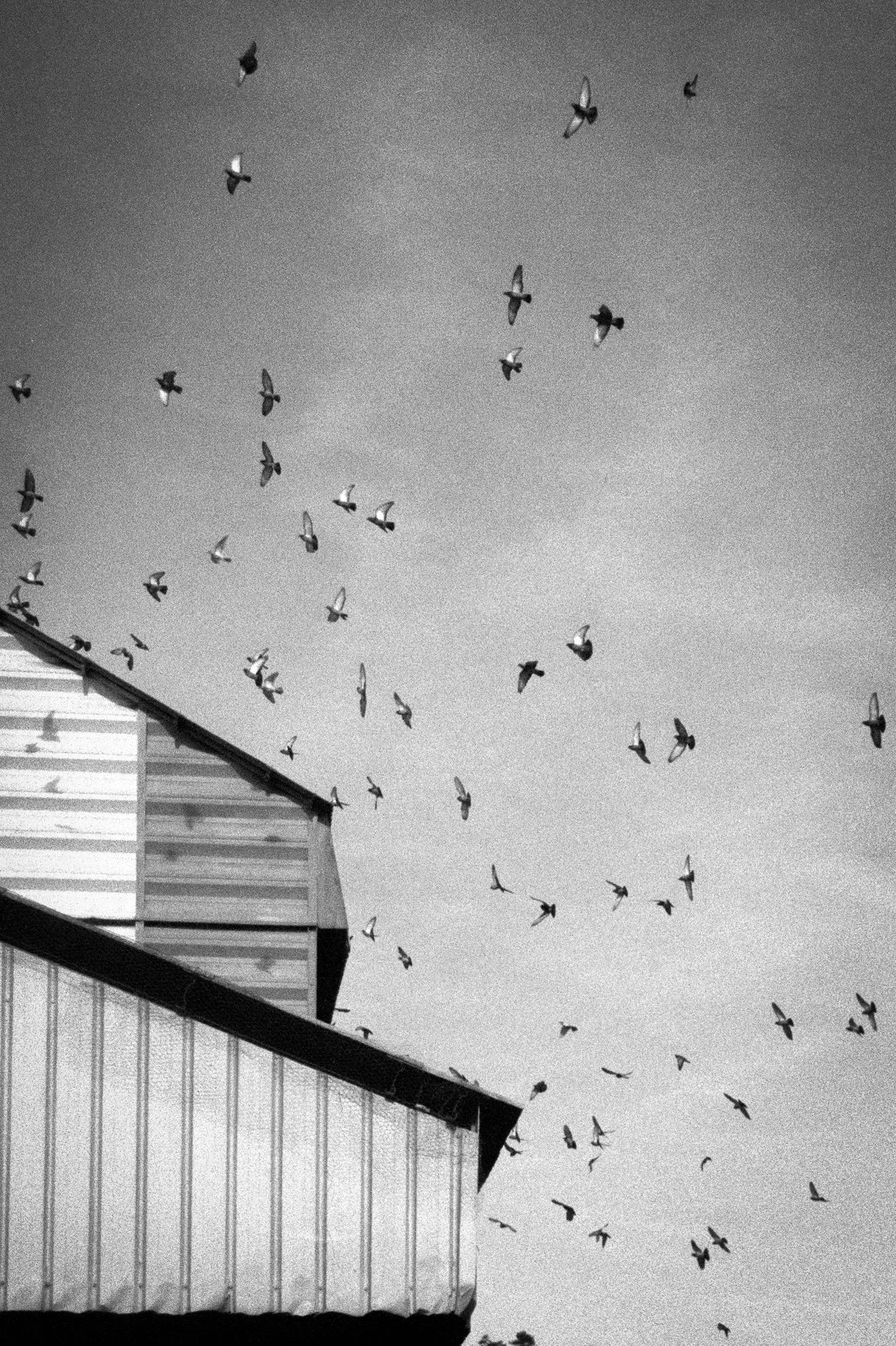 Tensions muettes et atmosphère étrange. Photographie issue de la série "Rester ici" de Maryline Cellini, développée dans le cadre du mentorat photo en ligne de Préludes Photo.