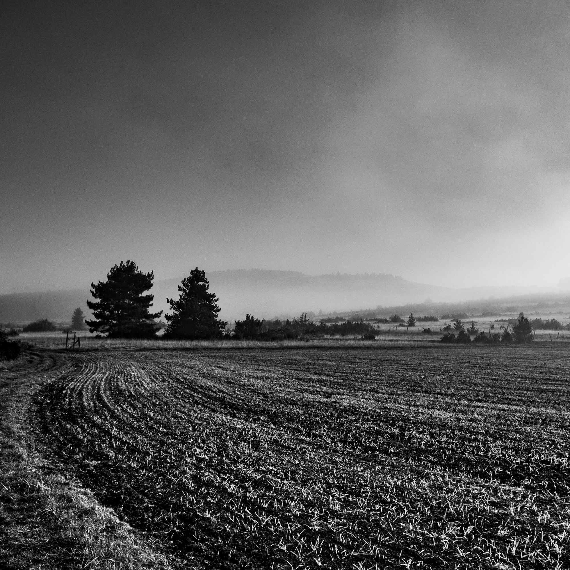 Série photo de Dominique Delorme en noir et blanc dans les Cévennes en Lozère