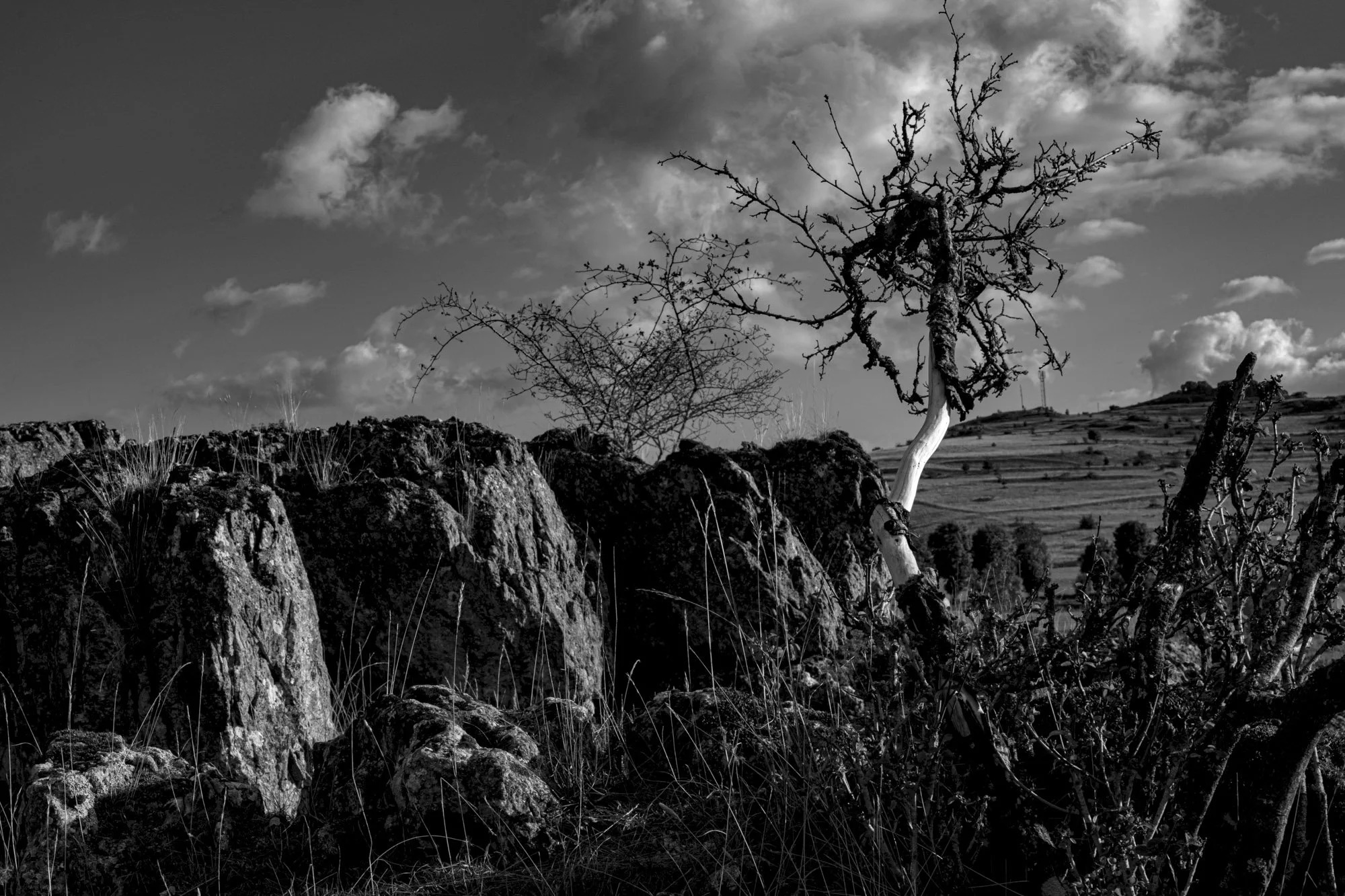 Série photo de Philippe Alliel en noir et blanc dans les Cévennes en Lozère