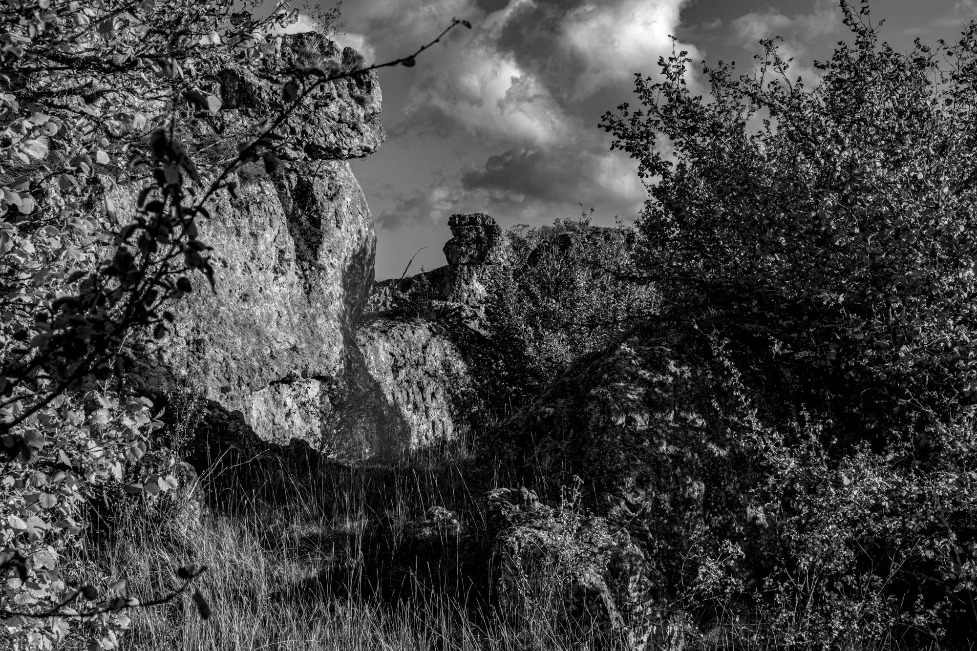 Série photo de Philippe Alliel en noir et blanc dans les Cévennes en Lozère