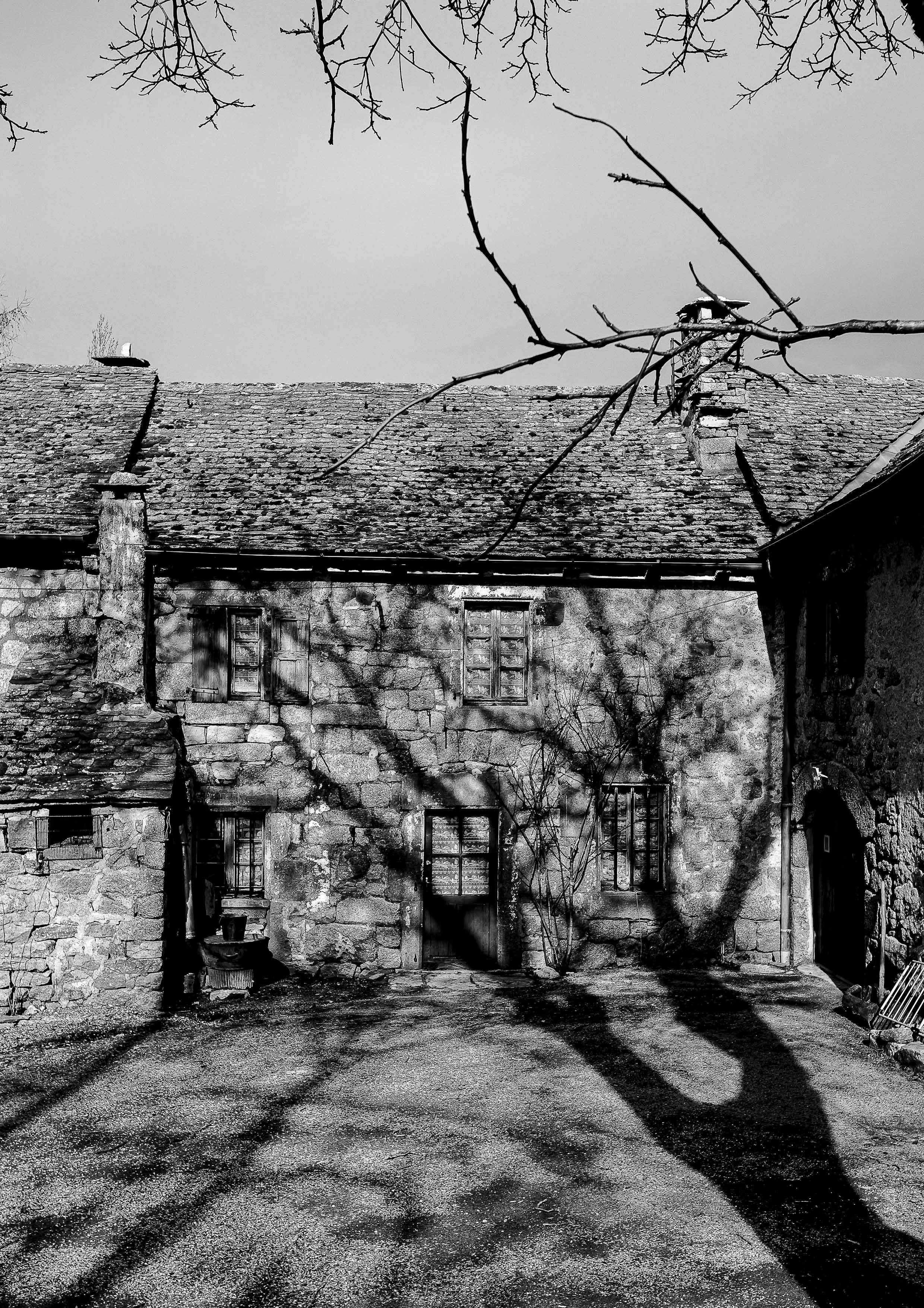 Paysage de la Lozère, capturant sa beauté rude, ses contrastes et l'omniprésence du vent. Photographie issue de la série de Jean-François Pighin, développée dans le cadre du mentorat photo en ligne de Préludes Photo.