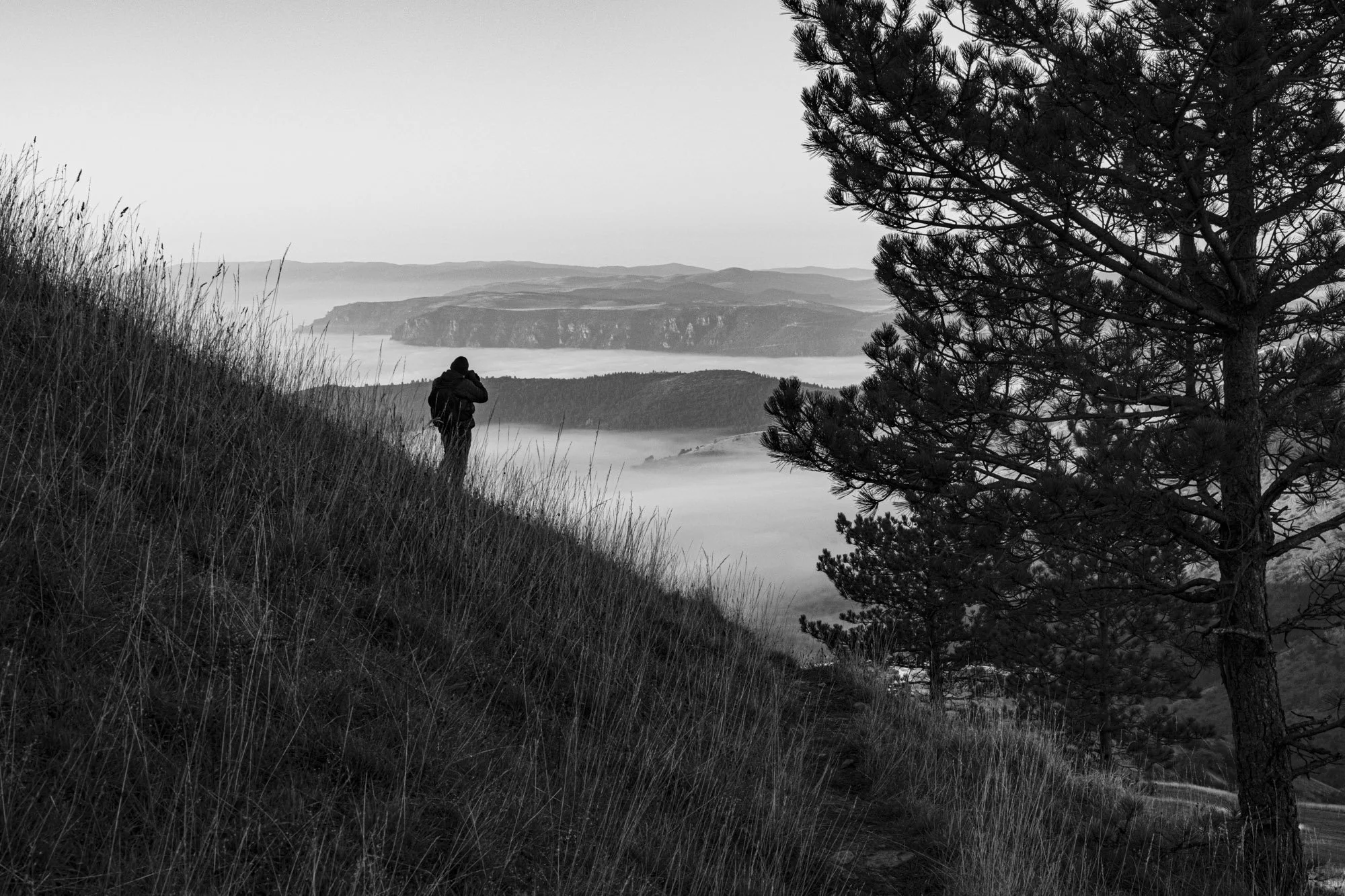 Série photo de Philippe Alliel en noir et blanc dans les Cévennes en Lozère