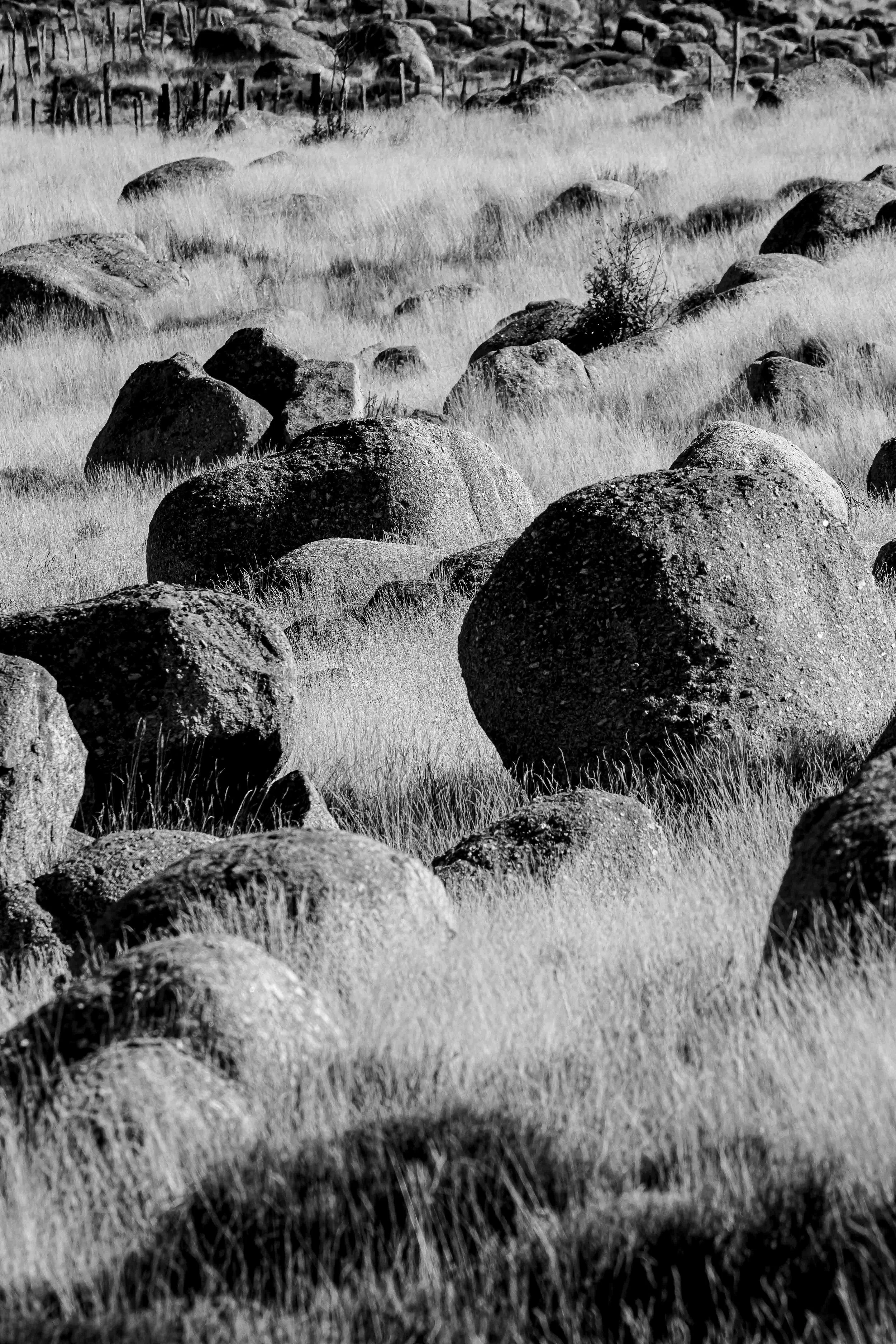 Paysage de la Lozère, capturant sa beauté rude, ses contrastes et l'omniprésence du vent. Photographie issue de la série de Jean-François Pighin, développée dans le cadre du mentorat photo en ligne de Préludes Photo.