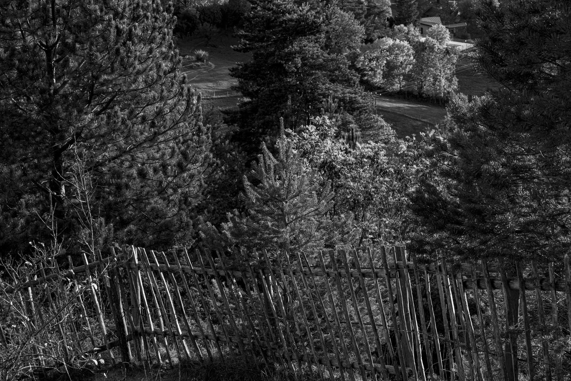Série photo de Philippe Alliel en noir et blanc dans les Cévennes en Lozère