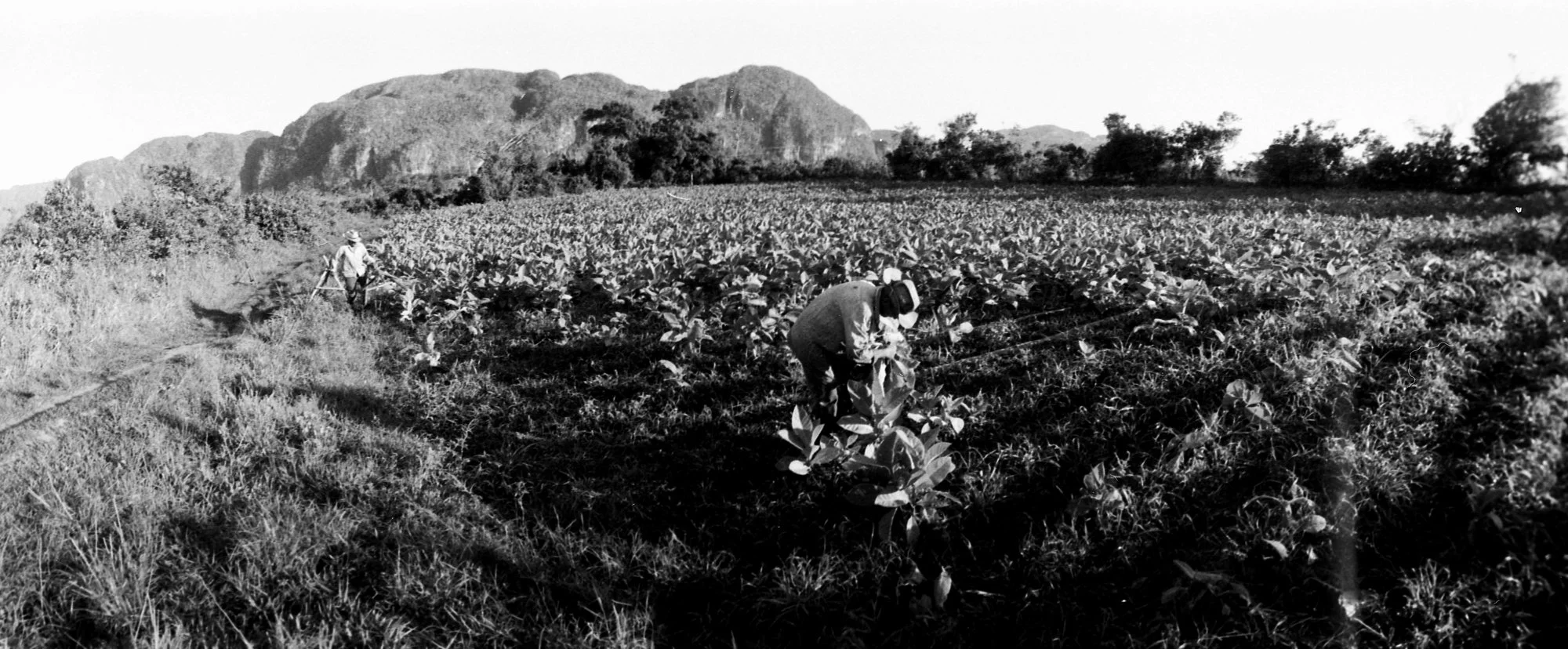 Série photo street à Cuba de Maxime Pronchery durant un workshop
