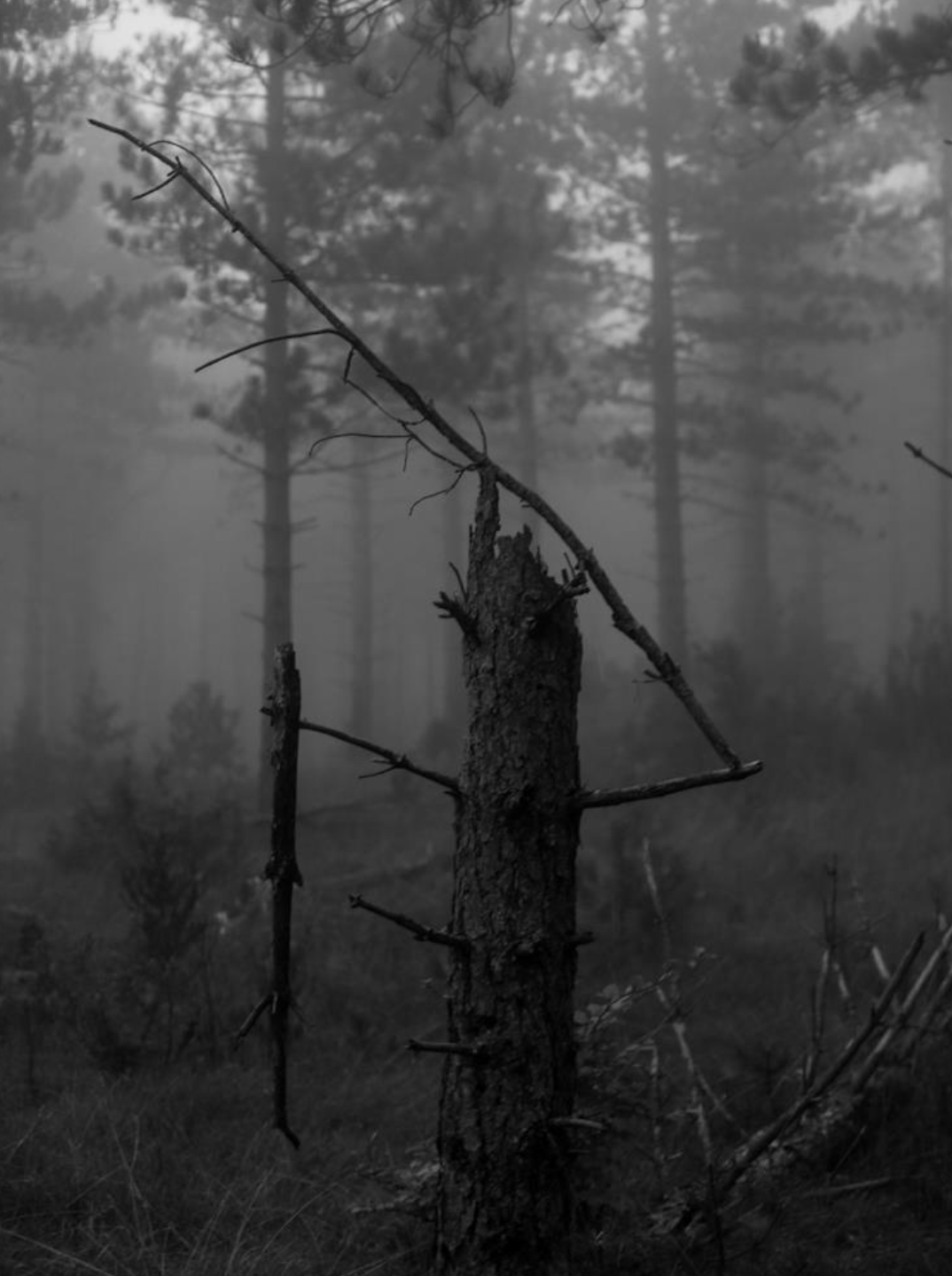 Série photo de Christian Taquet en noir et blanc dans les Cévennes en Lozère