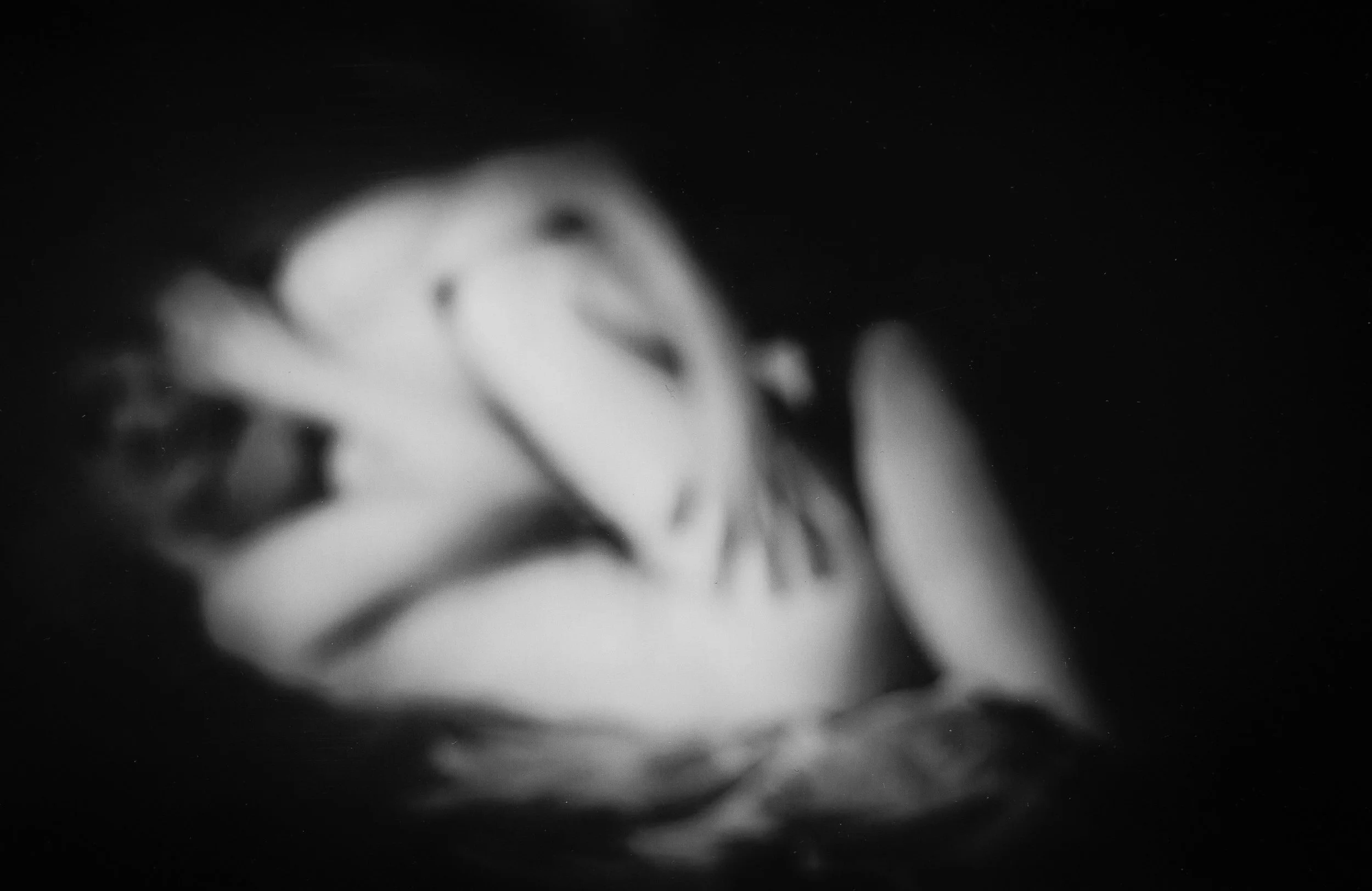 Ce projet photo évoque les ténèbres du cœur, la rupture et une quête de reconnexions stellaires. Œuvre issue du projet d'autofiction "In Tenebris Cordis" d'Aster Muphrid, développé dans le cadre du mentorat photo en ligne de Préludes Photo.