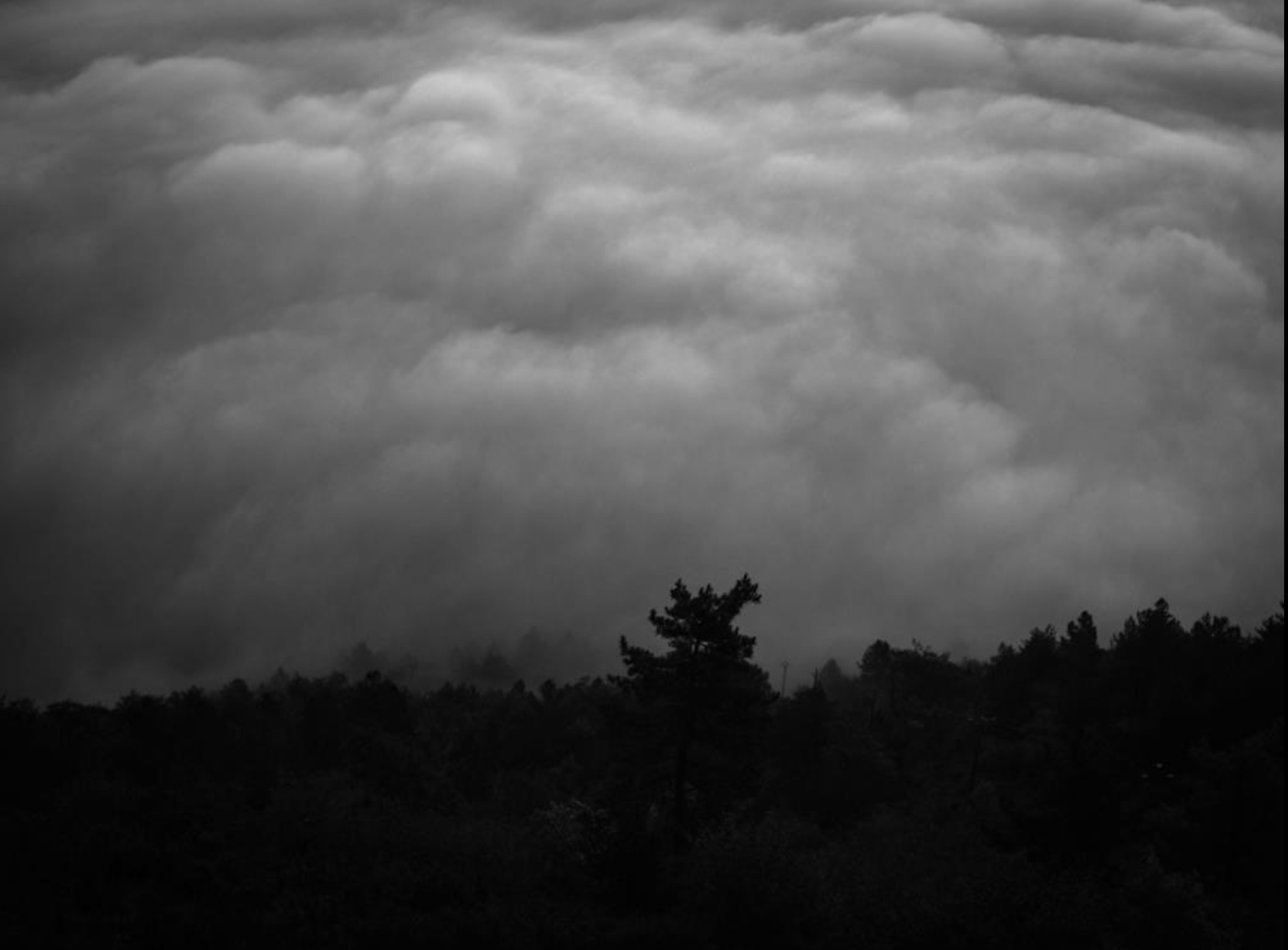Série photo de Christian Taquet en noir et blanc dans les Cévennes en Lozère