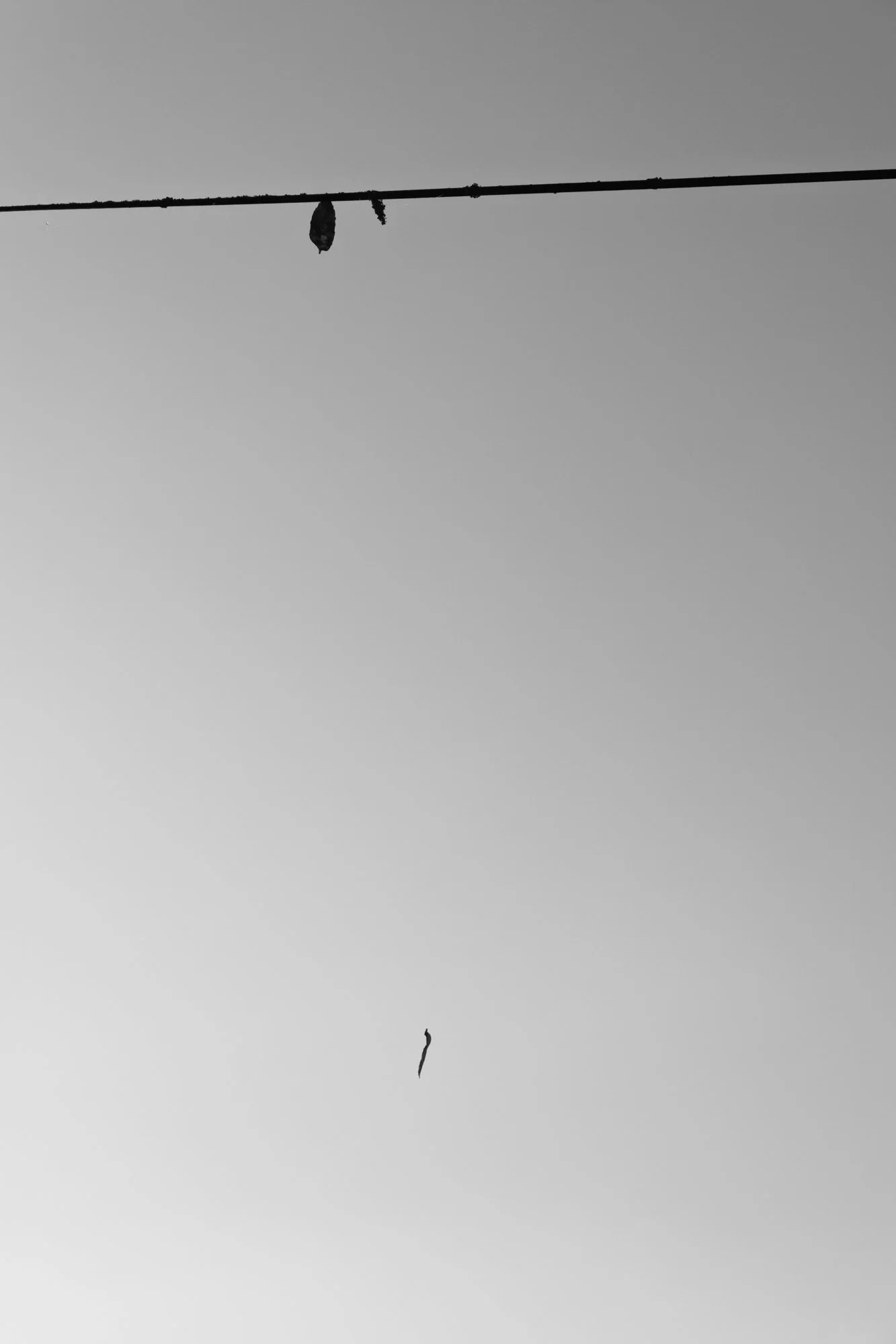 Série photo de Reynald Bégin en noir et blanc dans les Cévennes en Lozère