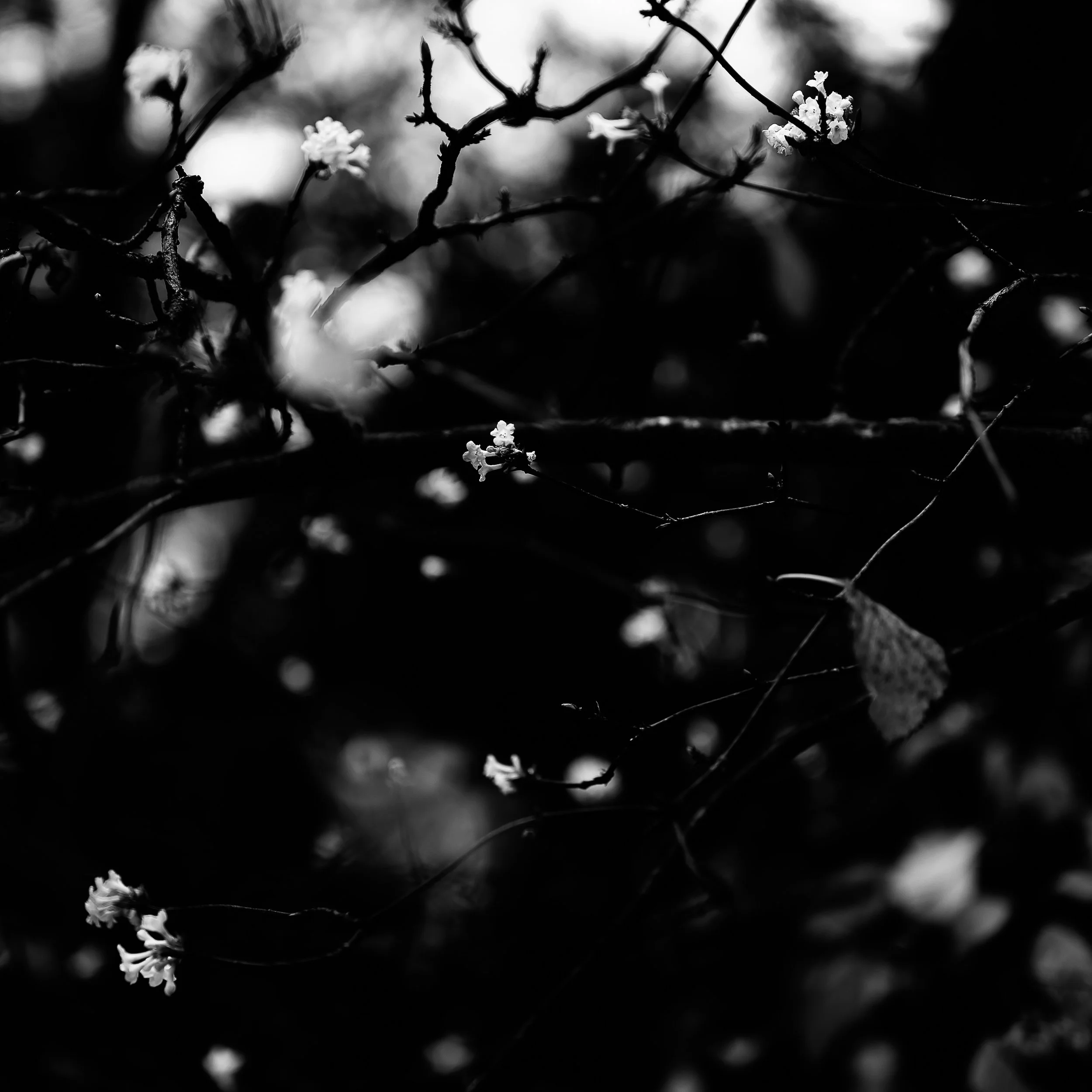 Loin des clichés touristiques, ce projet noir et blanc révèle la réalité intime et les contrastes de la capitale. Photographie issue de la série "Paris : Fragments intimes" de Claire Mornet, développée dans le cadre du mentorat photo en ligne de Prél