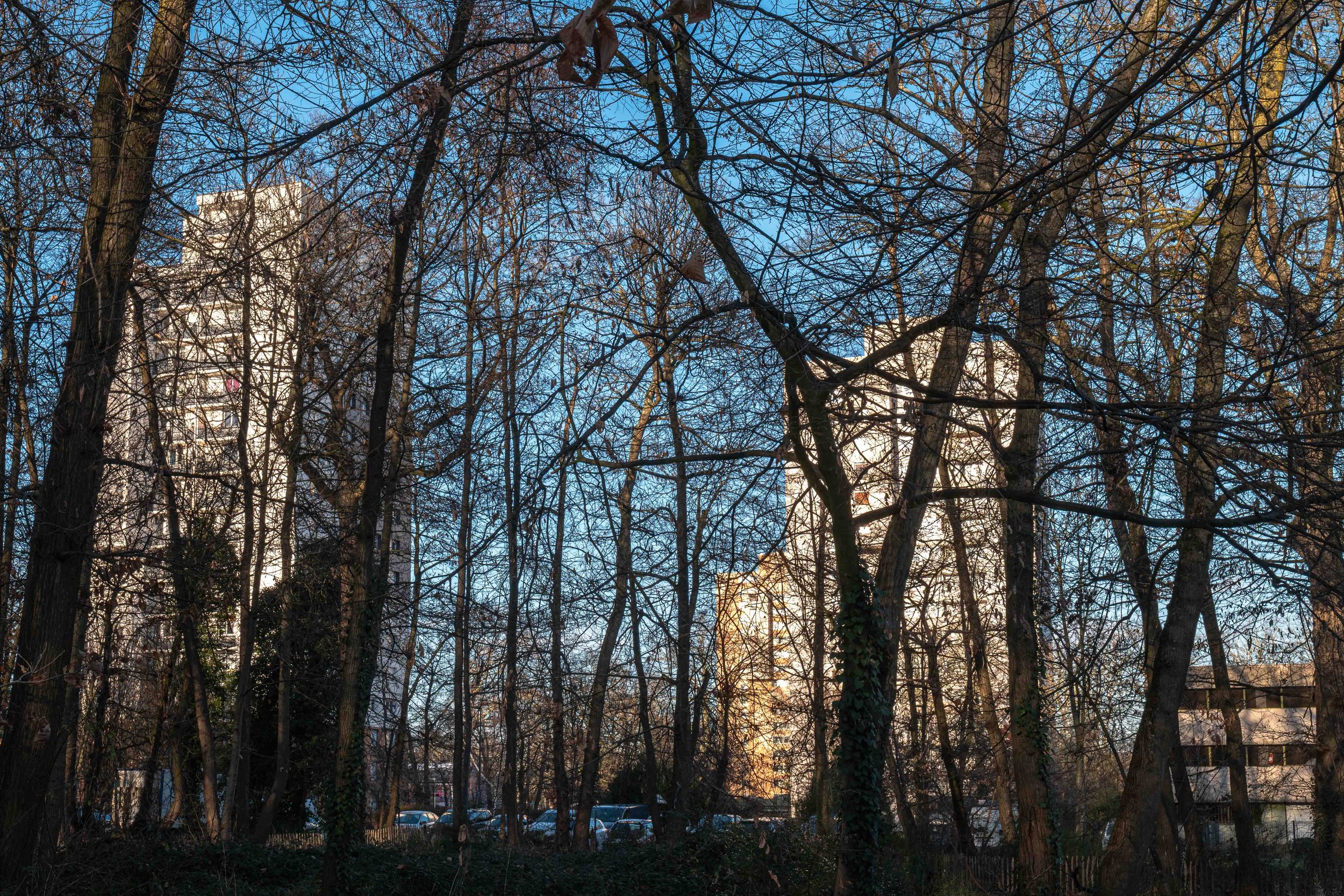 Entre banlieue et campagne, une quête de liberté et une errance quotidienne en périphérie parisienne. Photographie issue de la série "Voyage autour de chez moi" de France Garcia-Ficheux, développée dans le cadre du mentorat photo en ligne de Préludes