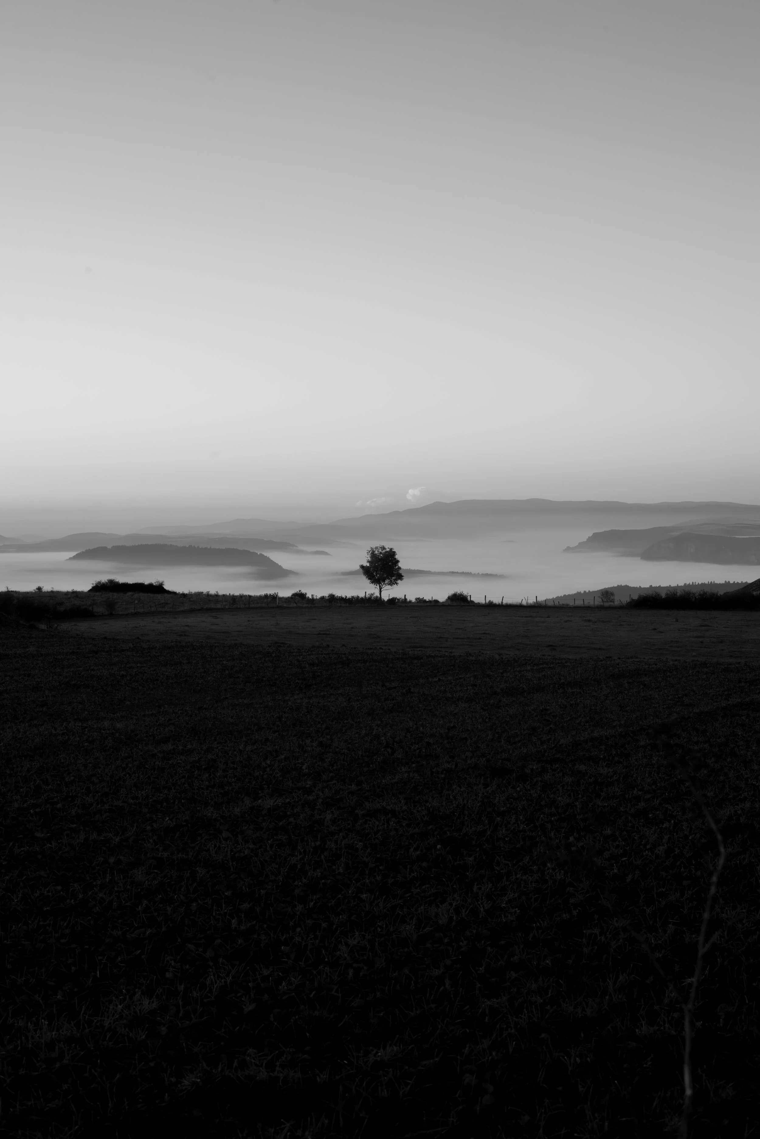 Série photo de Cécile Chauveau en noir et blanc dans les Cévennes en Lozère
