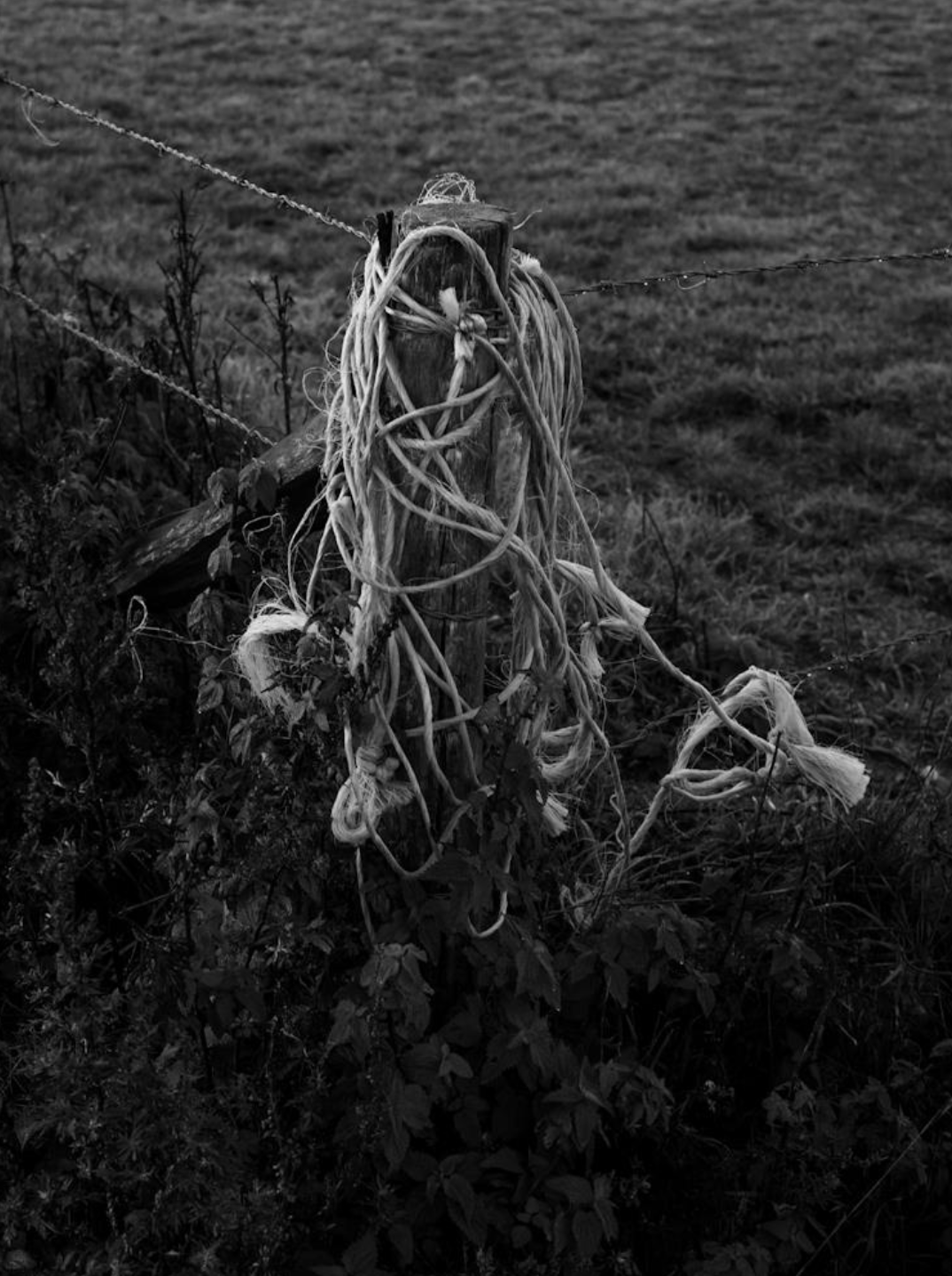 Série photo de Christian Taquet en noir et blanc dans les Cévennes en Lozère