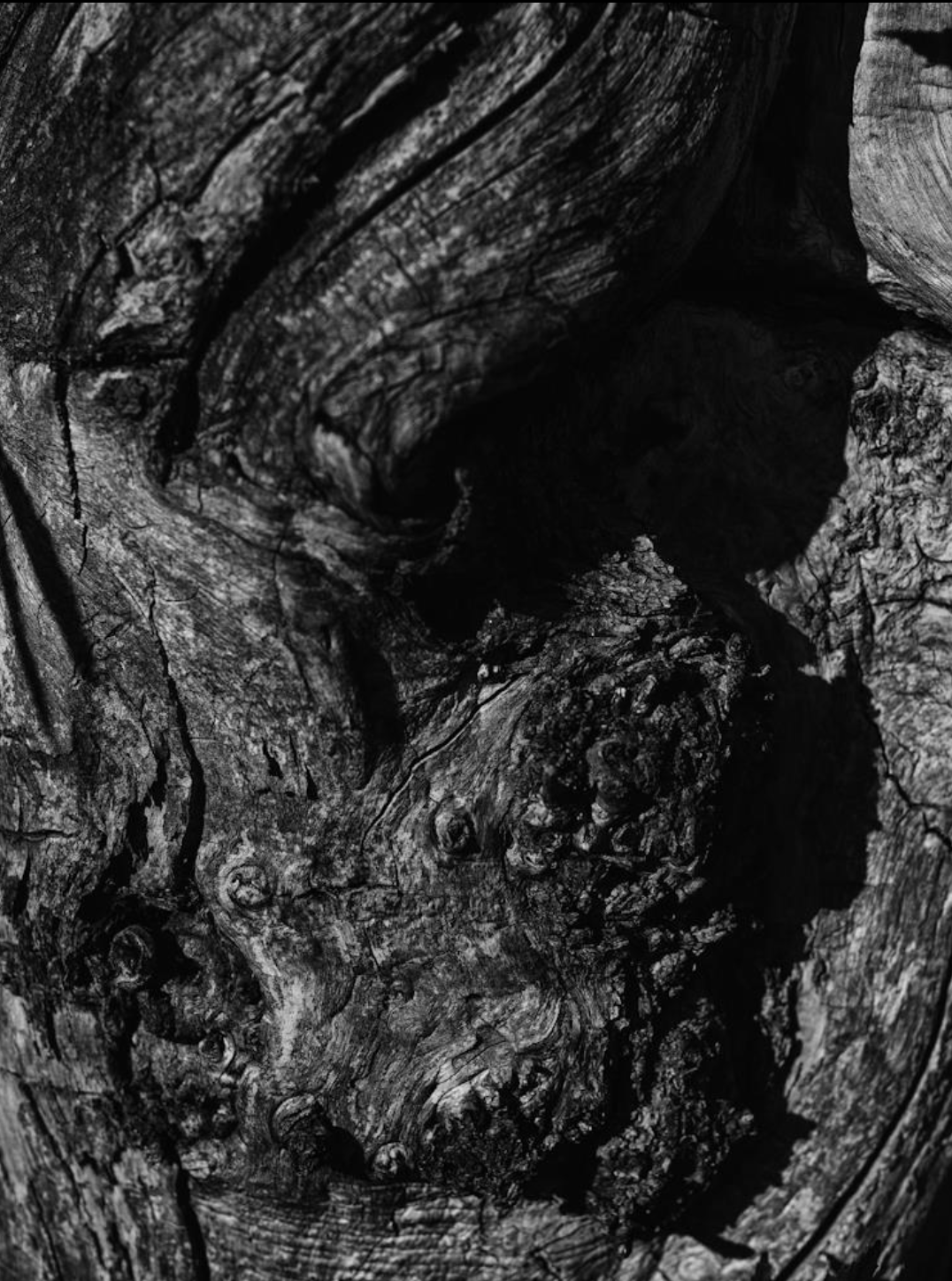 Série photo de Christian Taquet en noir et blanc dans les Cévennes en Lozère