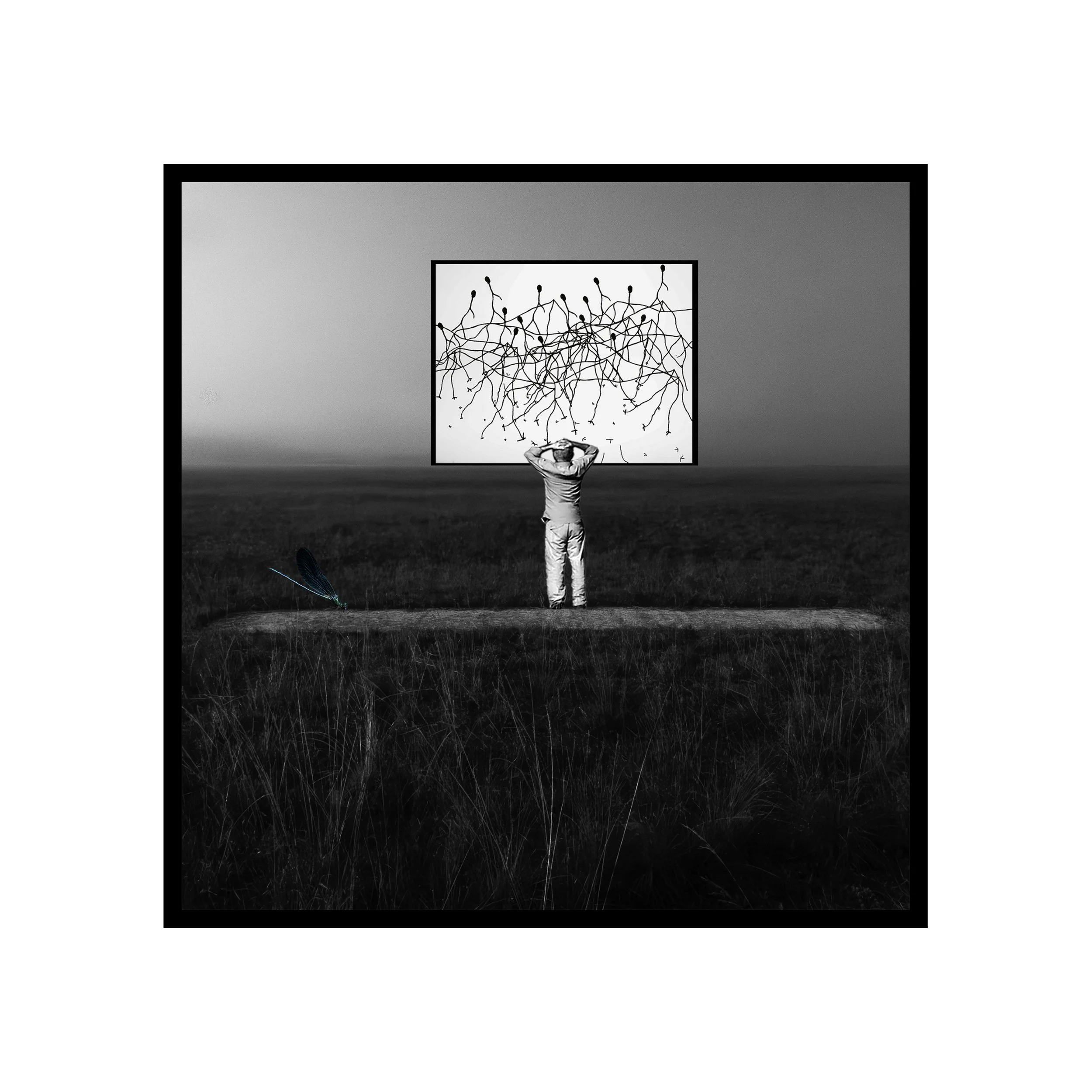 Projet photo pro-position de Pierre Carrelet développé dans la formation Au-delà des images de Préludes Photo