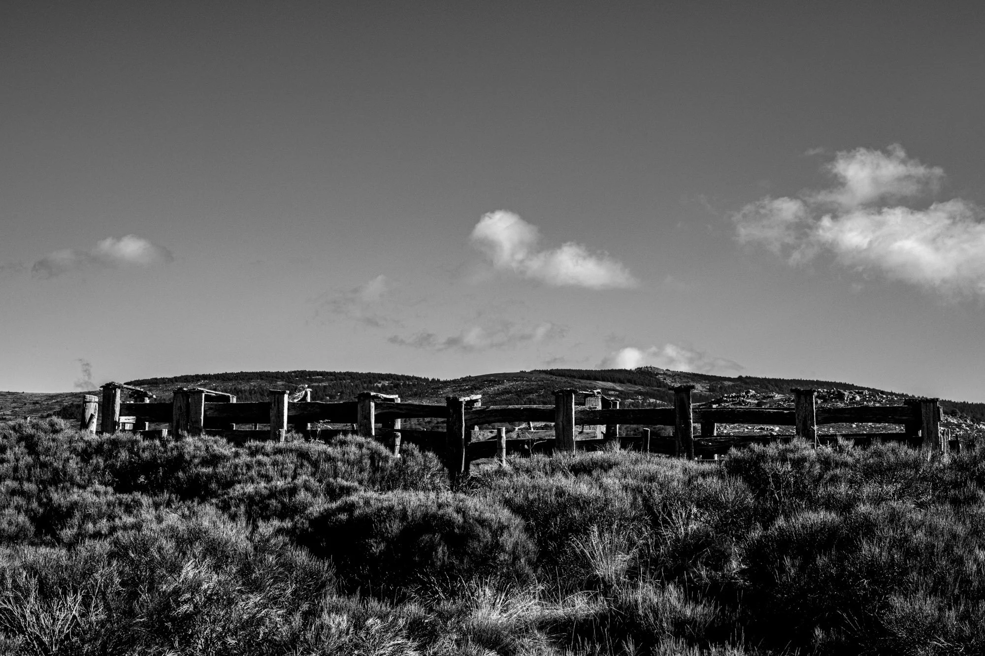 Série photo de Philippe Alliel en noir et blanc dans les Cévennes en Lozère
