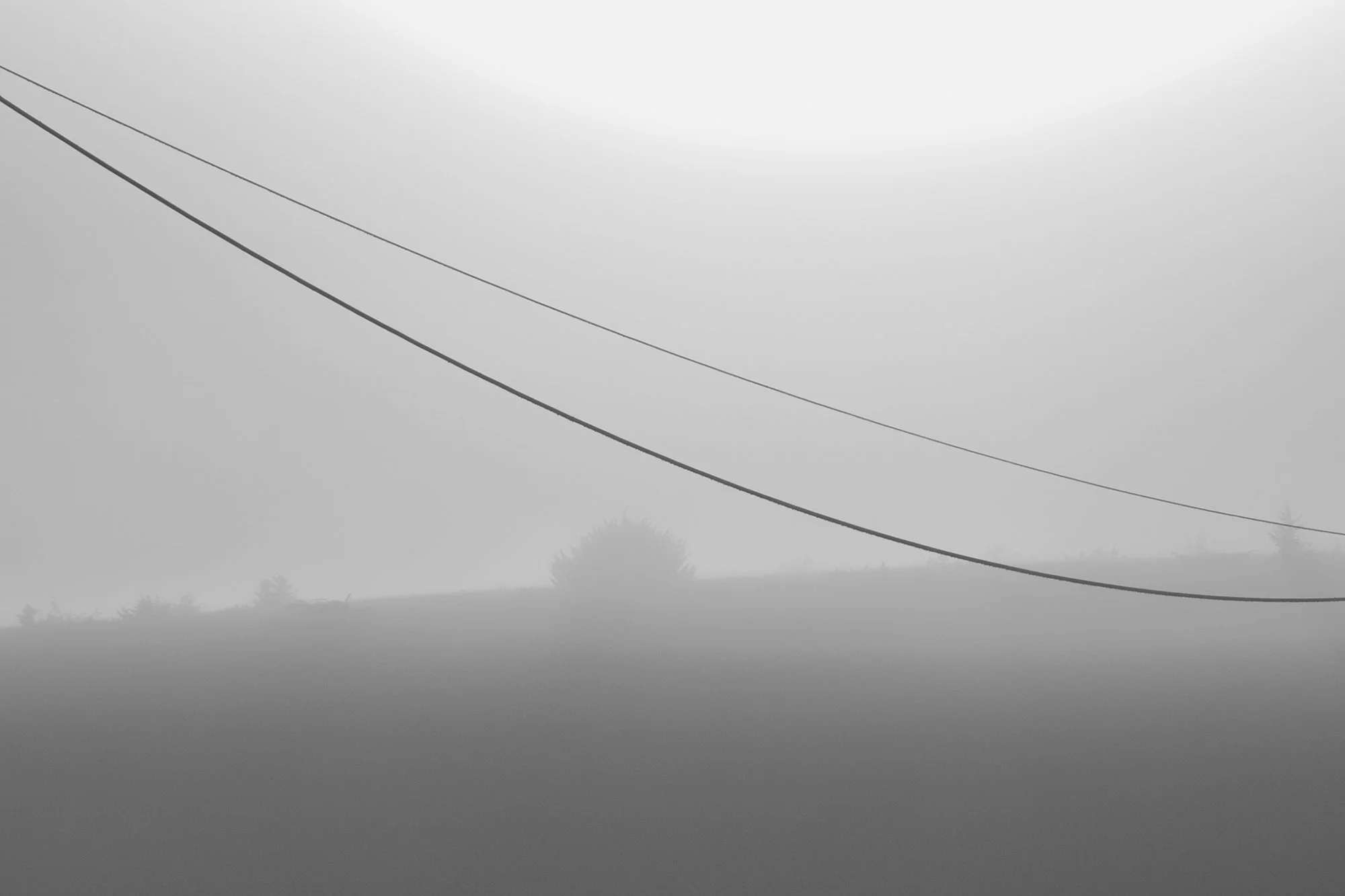 Lignes | Reynald Bégin