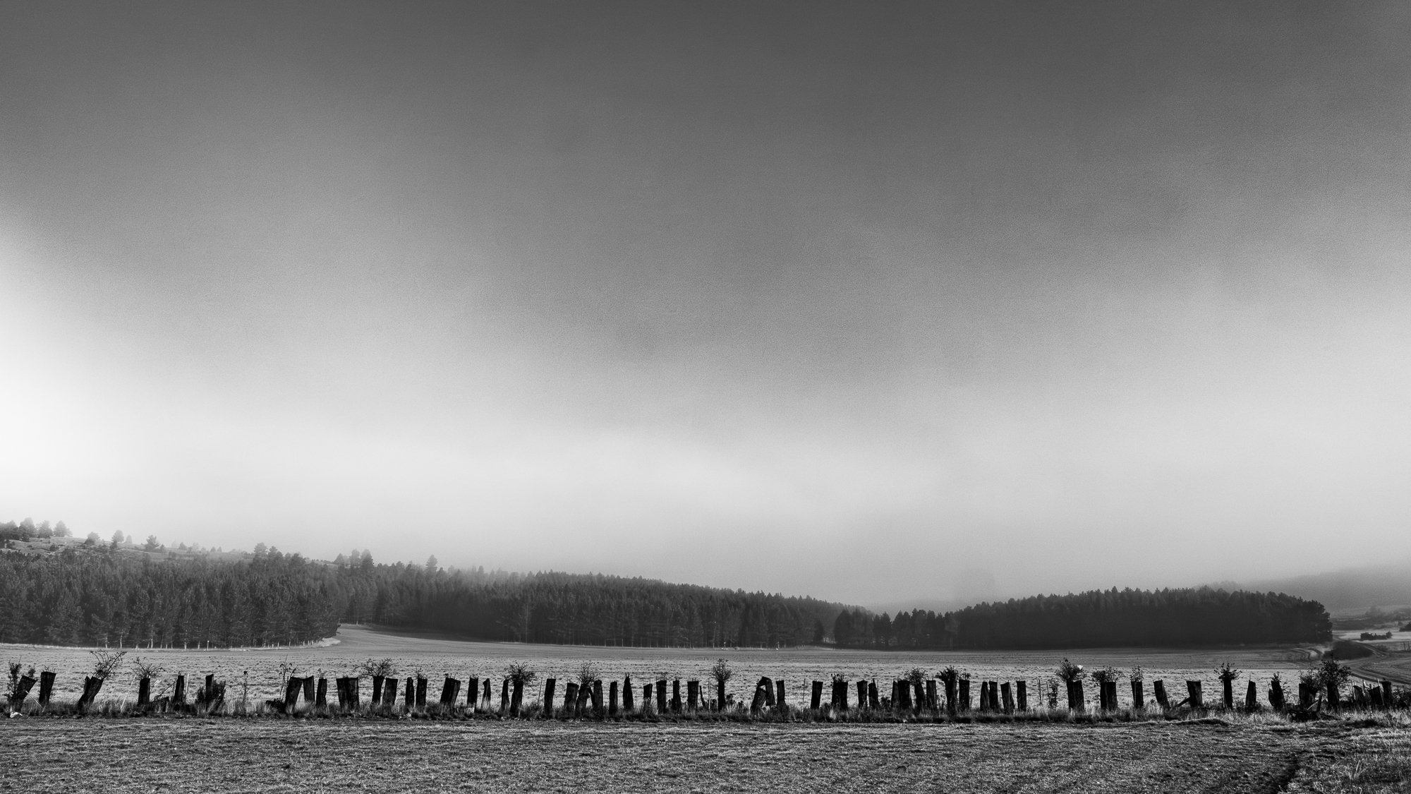 Série photo de Dominique Delorme en noir et blanc dans les Cévennes en Lozère