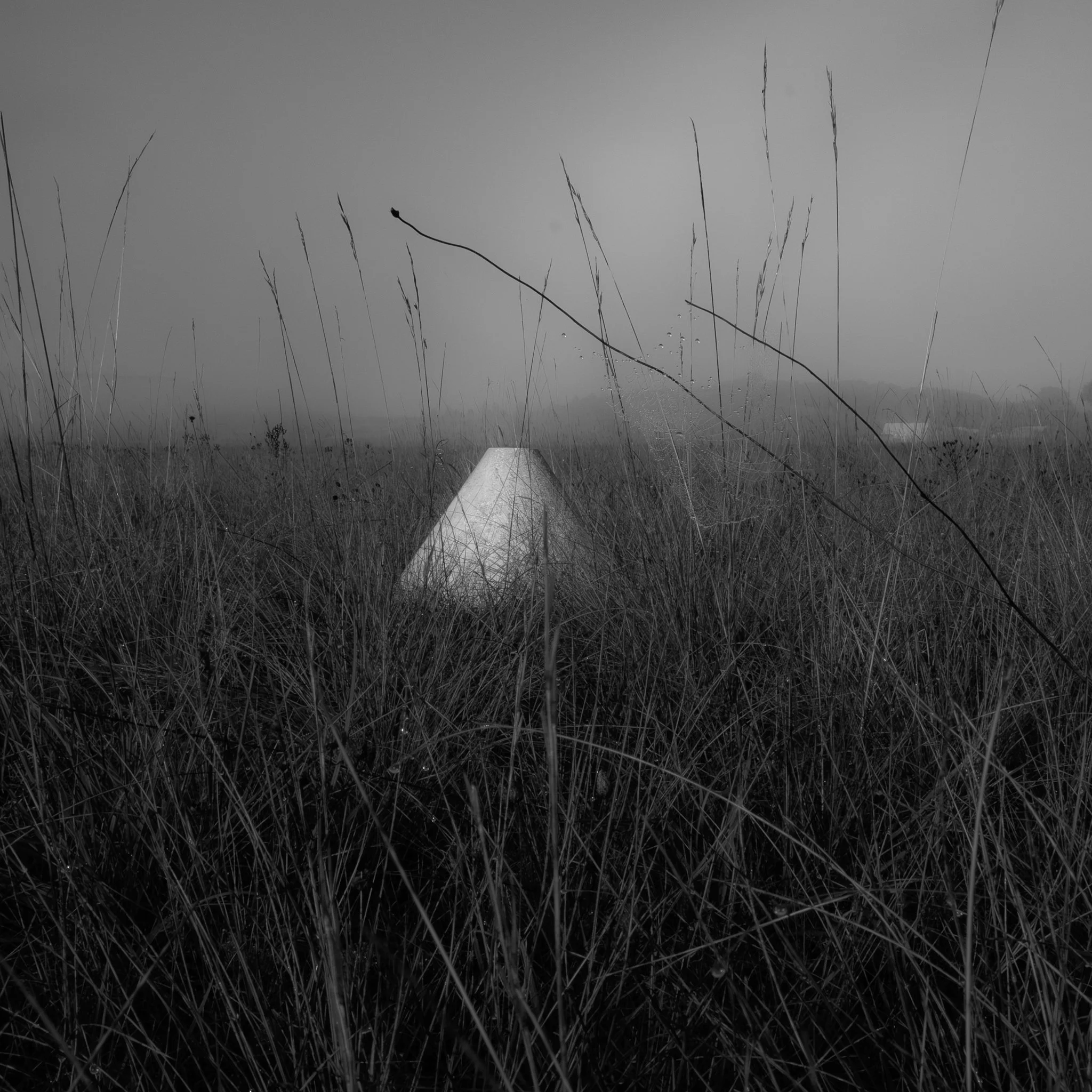 Série photo de Pierre Carrelet en noir et blanc dans les Cévennes en Lozère
