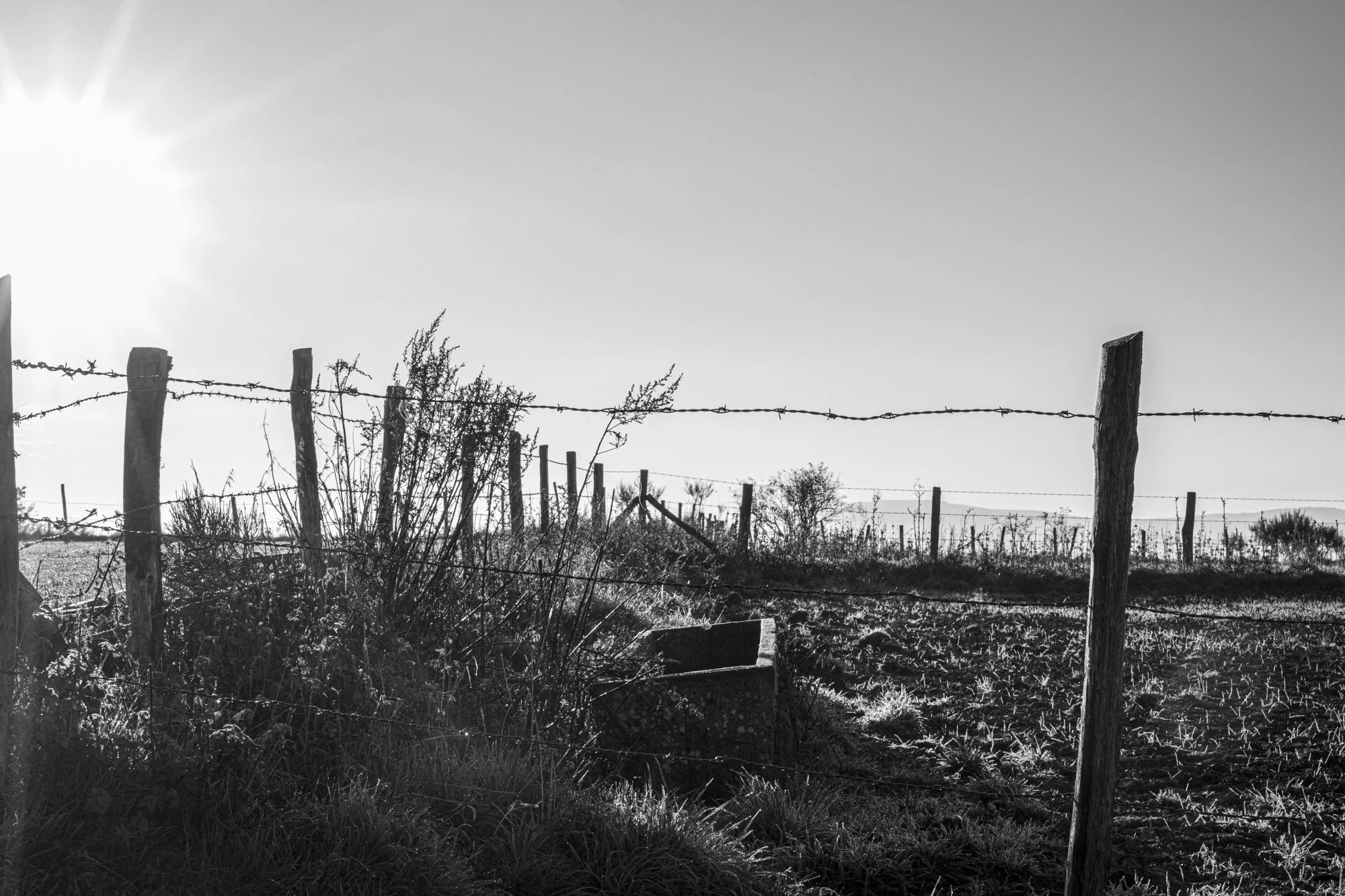 Série photo de Philippe Alliel en noir et blanc dans les Cévennes en Lozère