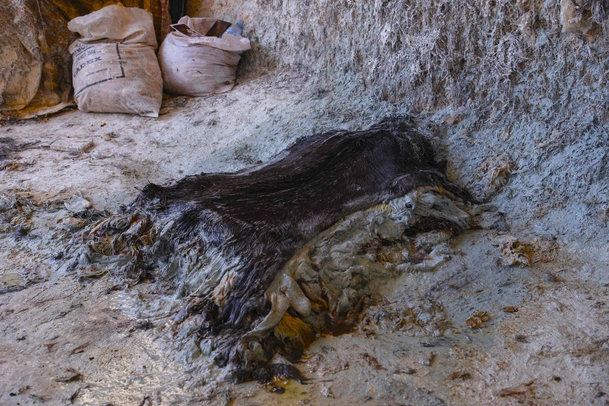 Série photo documentaire de la tannerie de Chouara à Fès