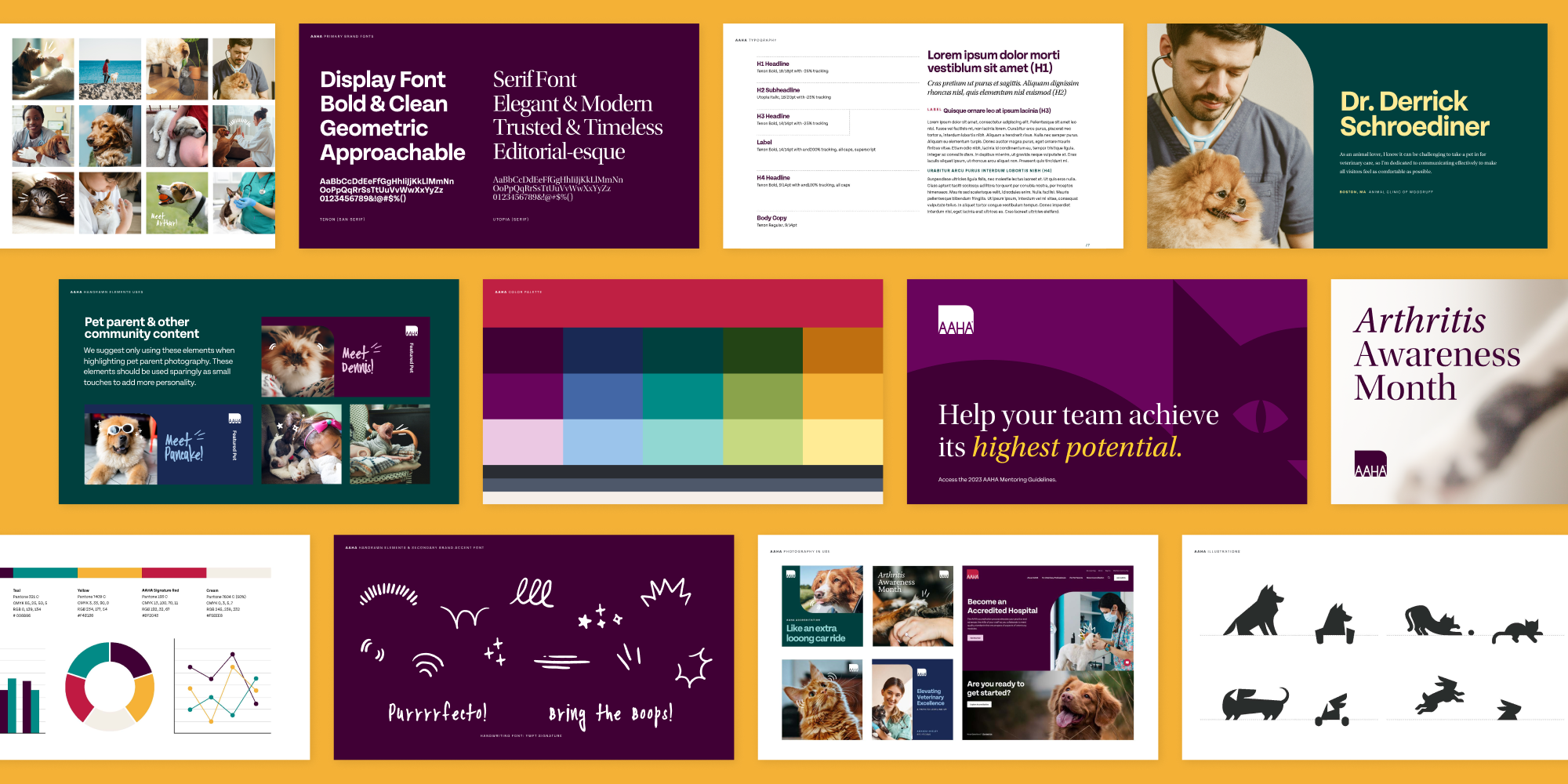 AAHA-brandguide.png