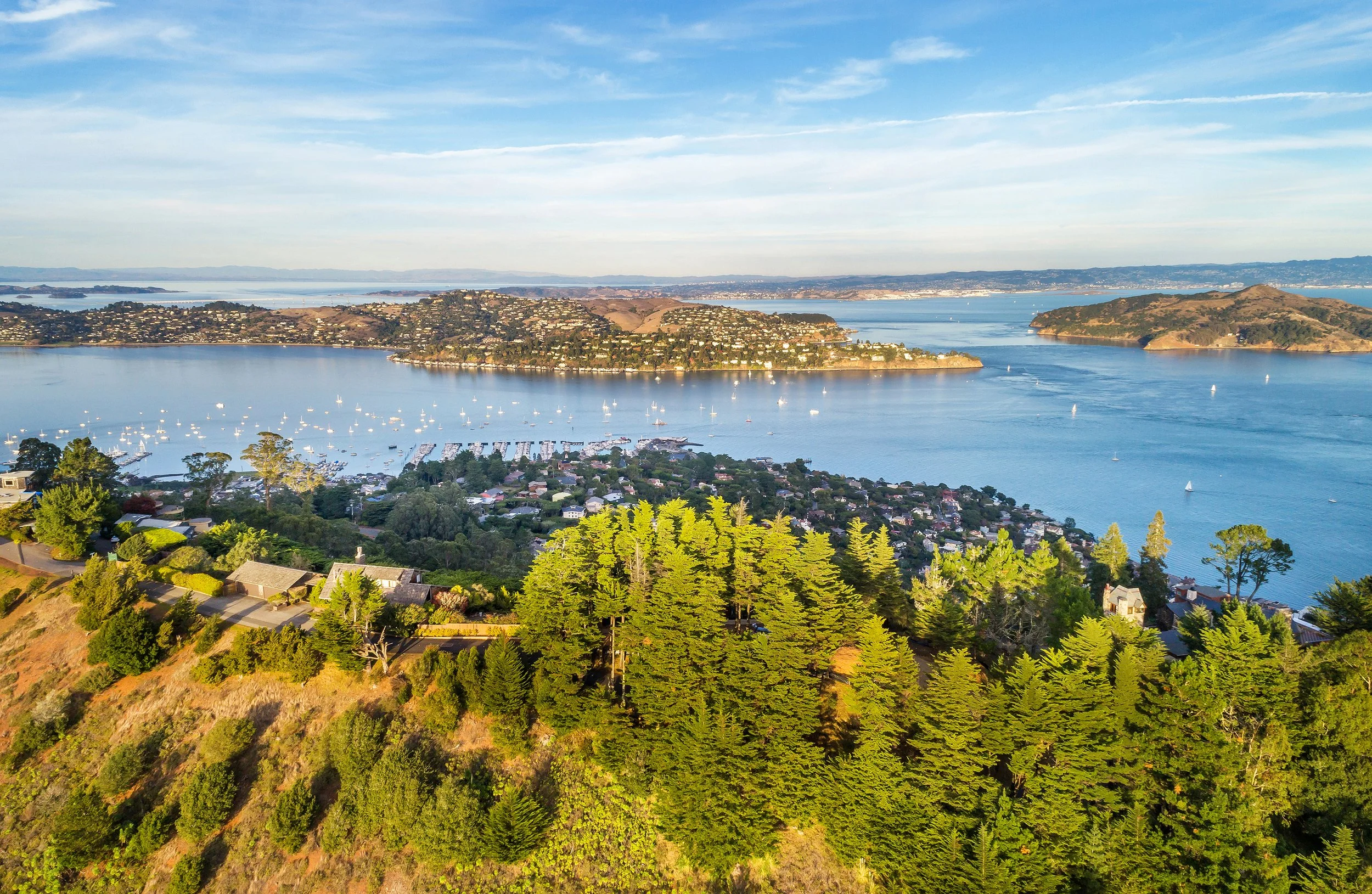 Marin County Market Update | Q2 2021