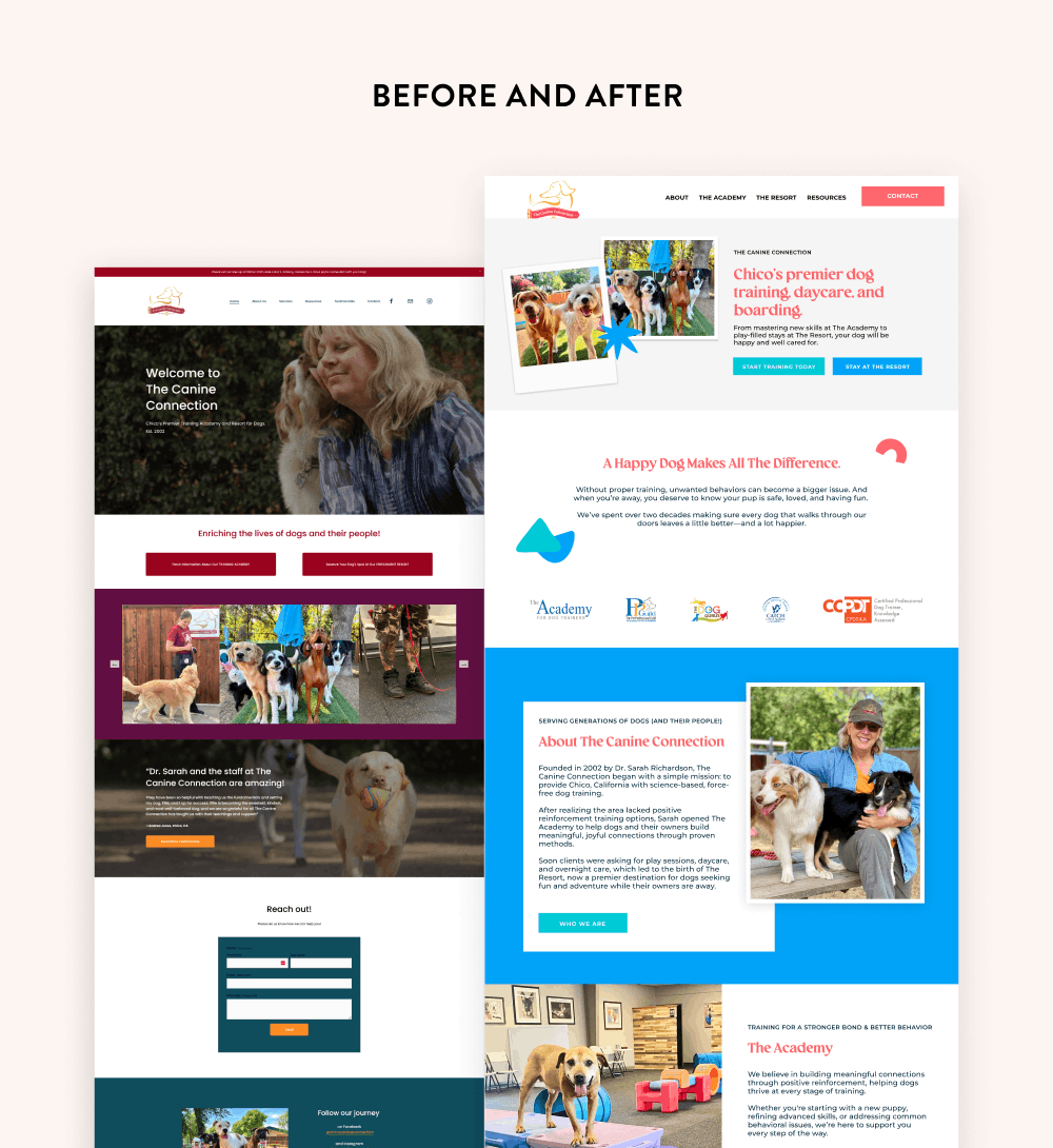 the canine connection before and after website