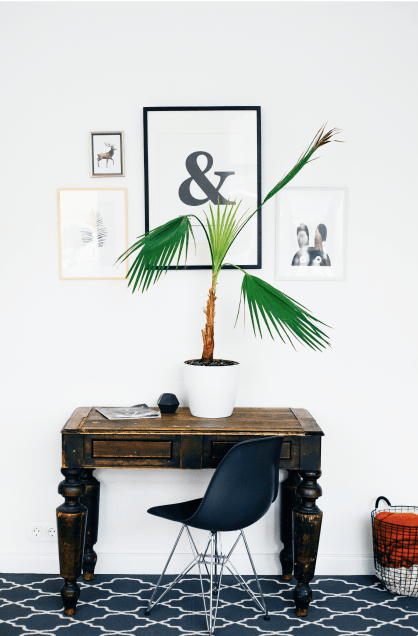 green plant in white pot