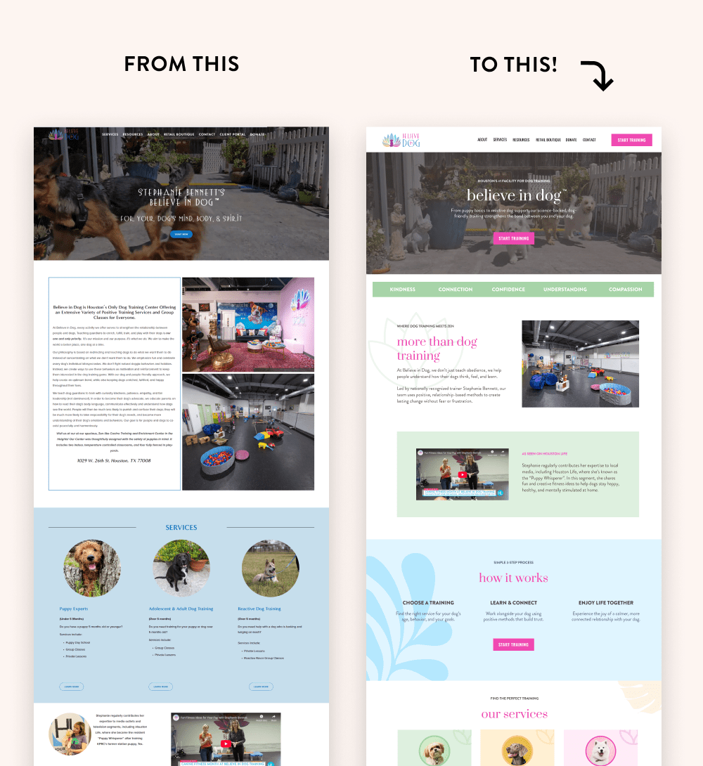 before and after of believe in dog's home page