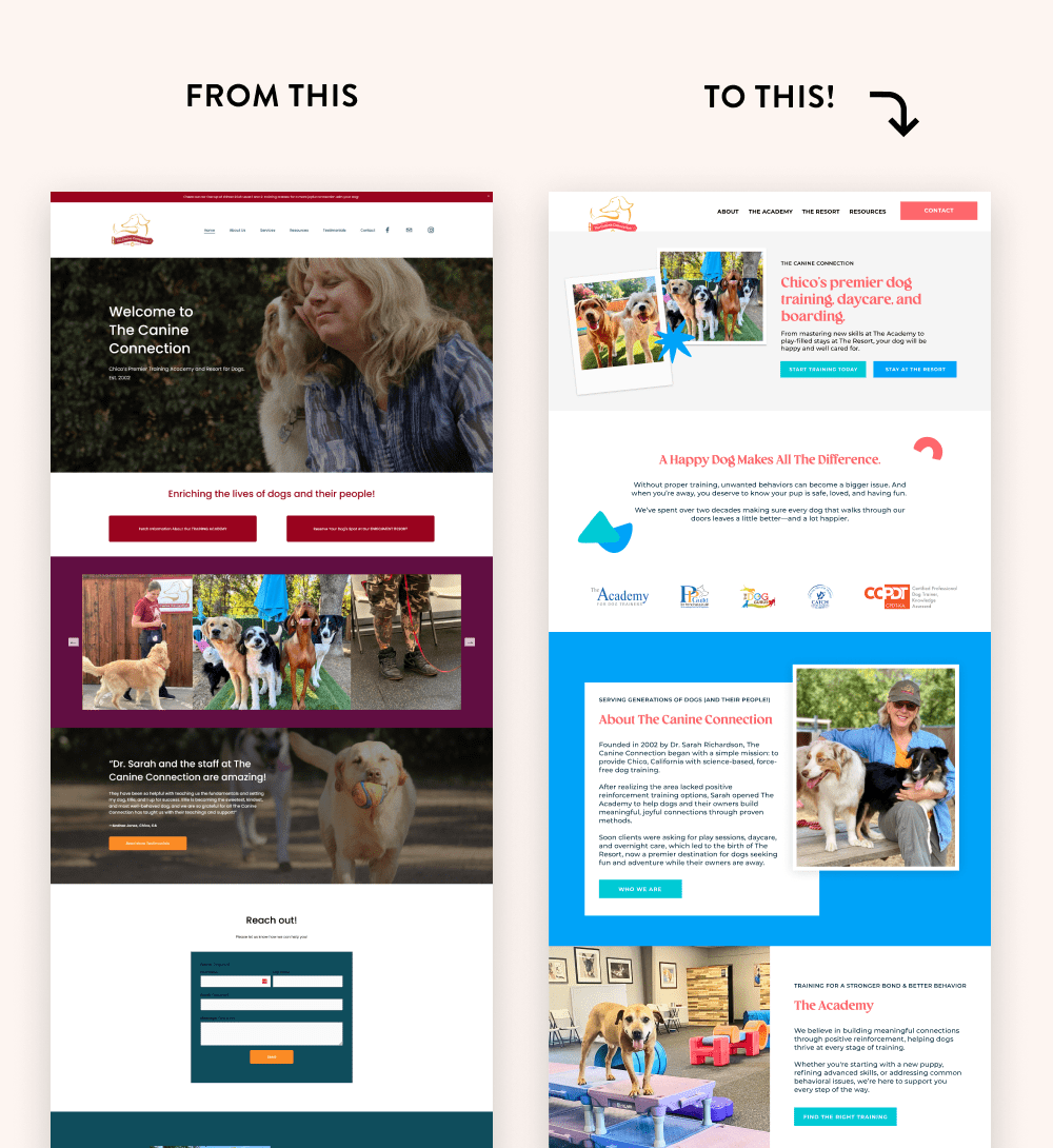 the canine connection before and after website