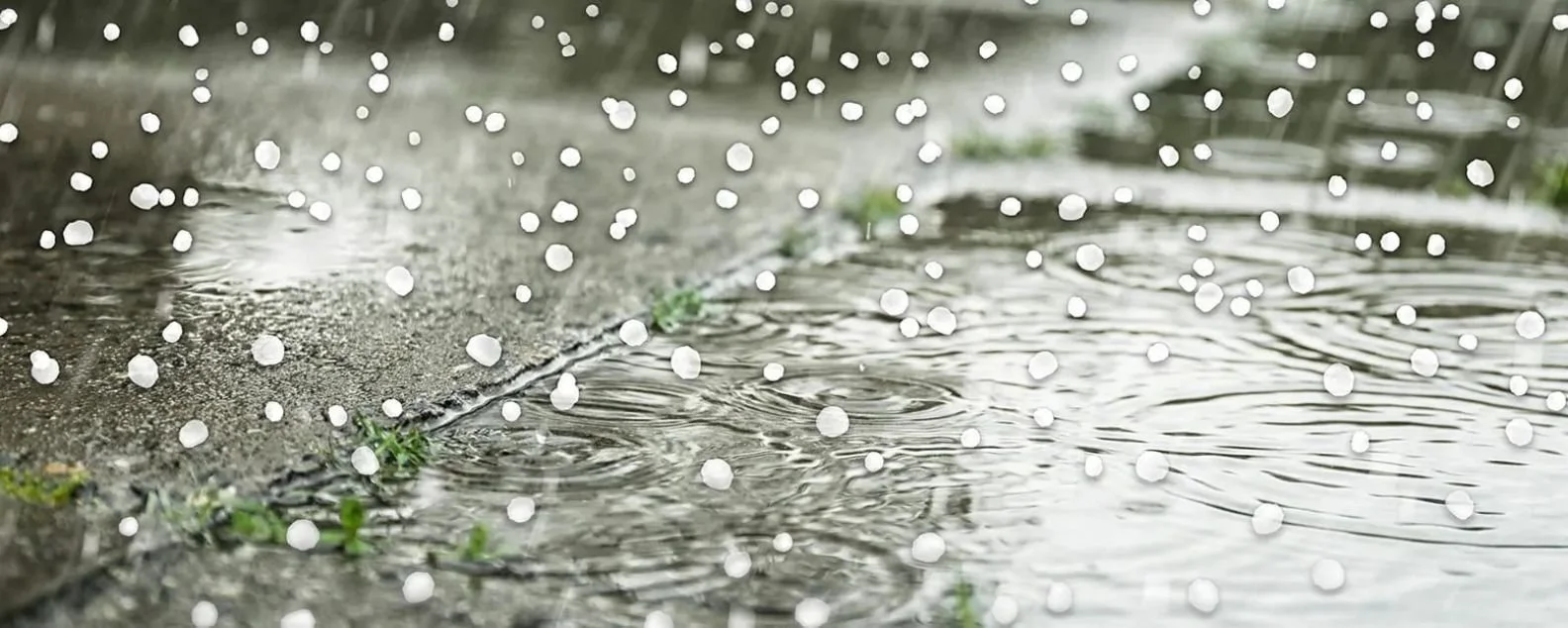 COMMON CAUSES OF ROOF DAMAGE Hail