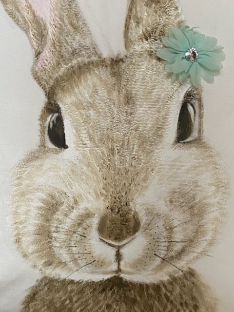 image4 (2).jpeg