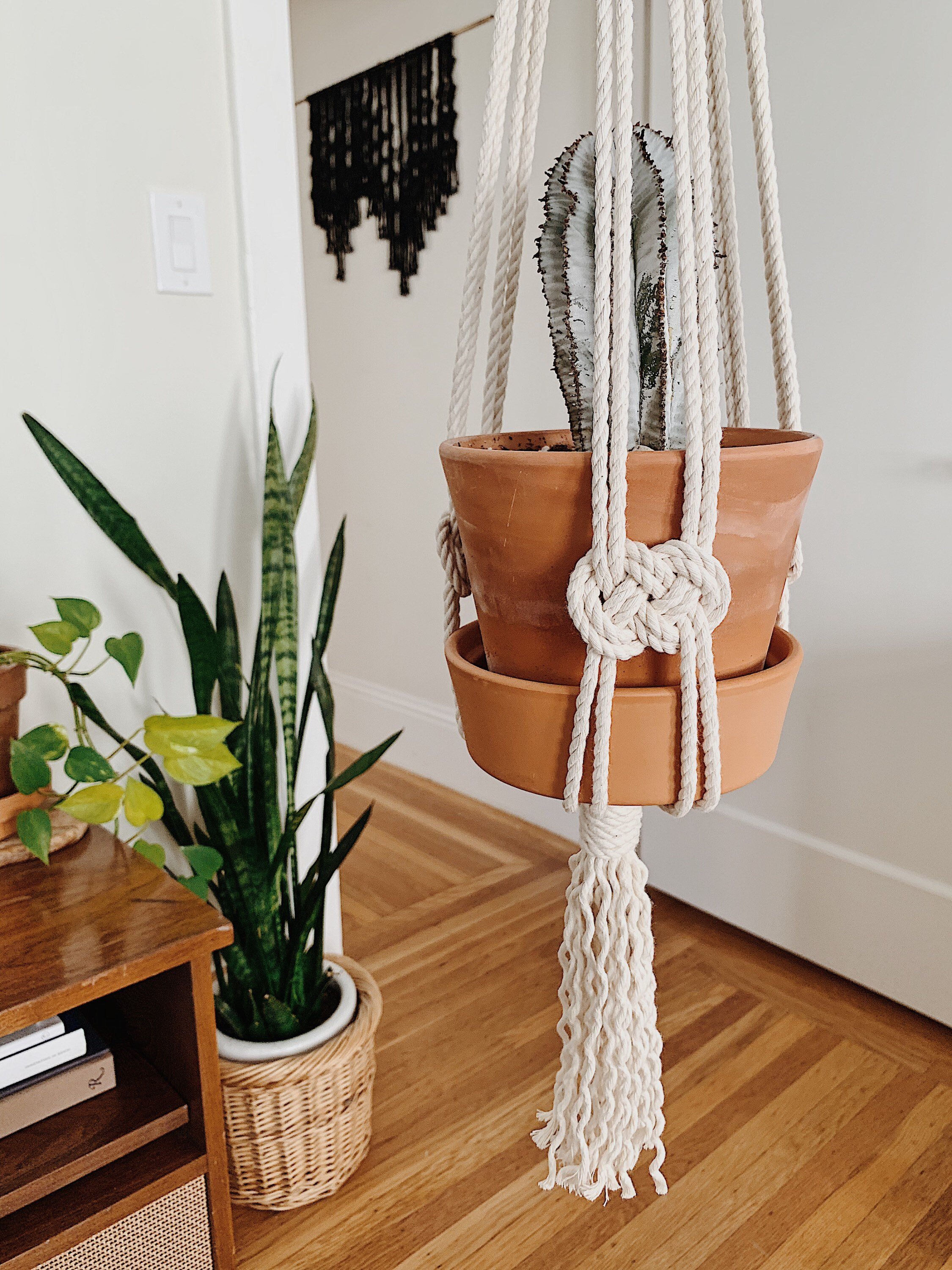 https://i.etsystatic.com/14144232/r/il/c6d1cc/2259799636/il_fullxfull.2259799636_8lks.jpg