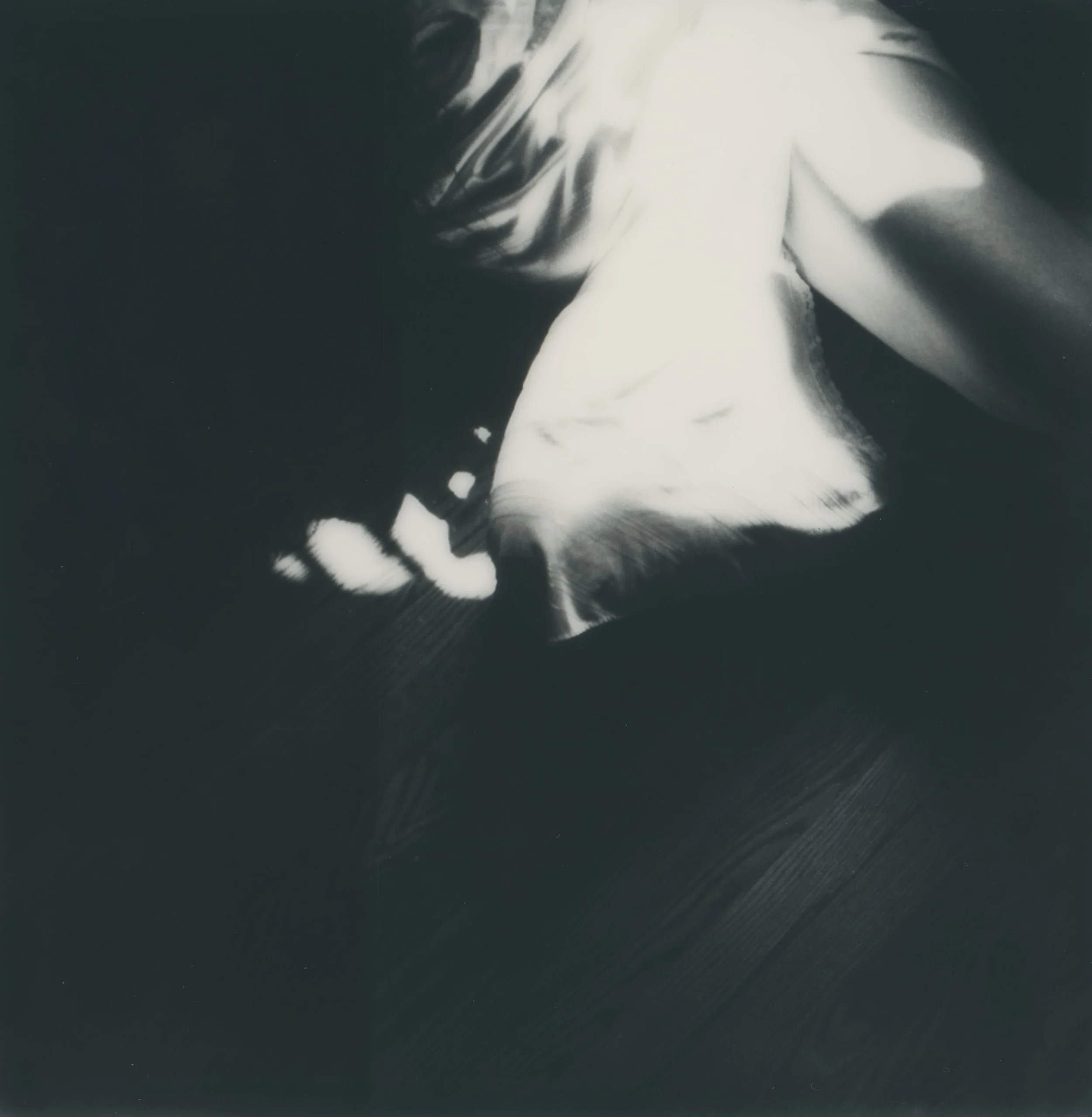 Untitled Polaroid 018.jpeg