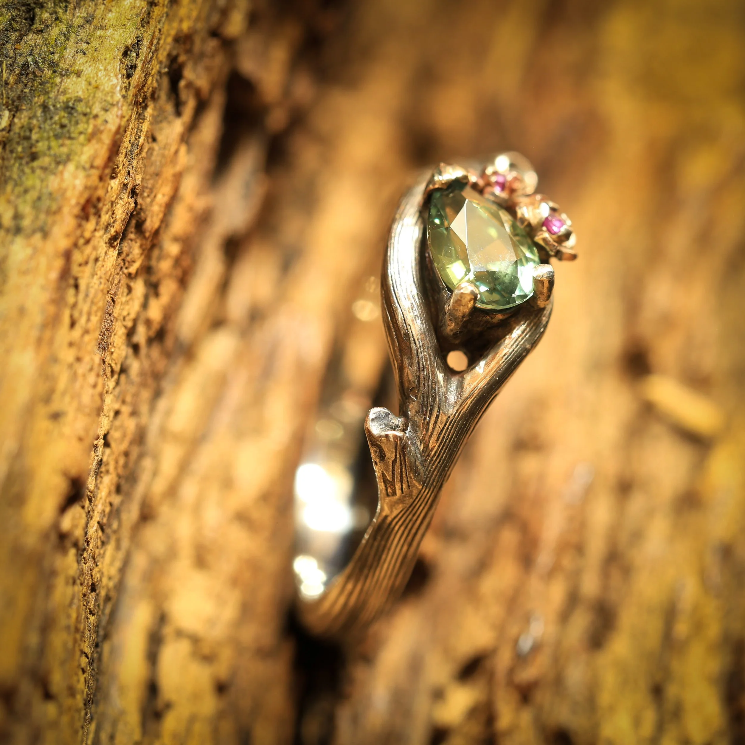 Close-up of a tree trunk with a decorative ring featuring a large green gemstone and small pink accents, attached to the bark.