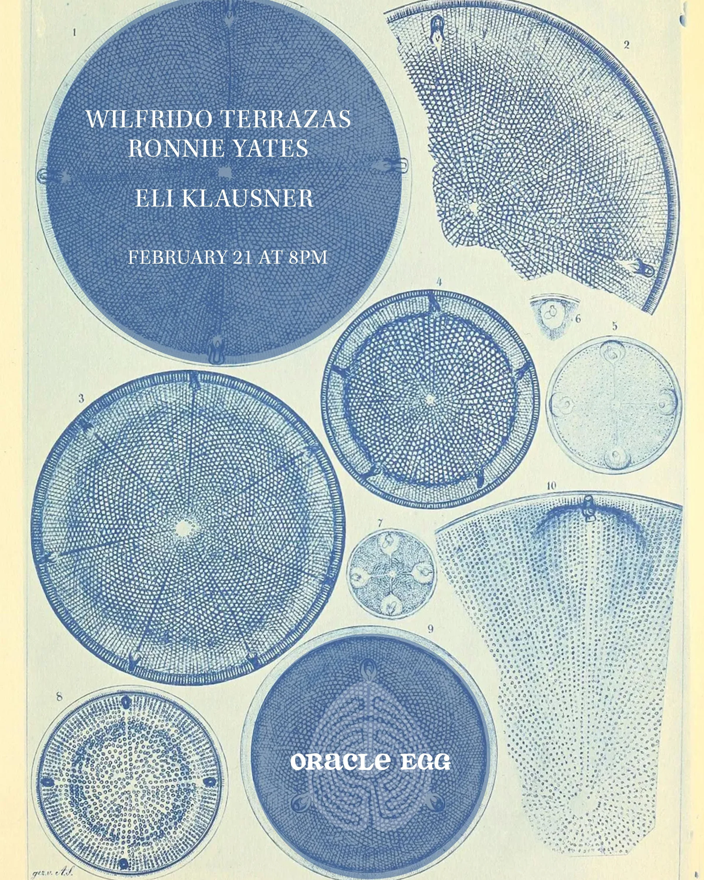 Wilfrido Terrazas + Ronnie Yates, Eli Klausner