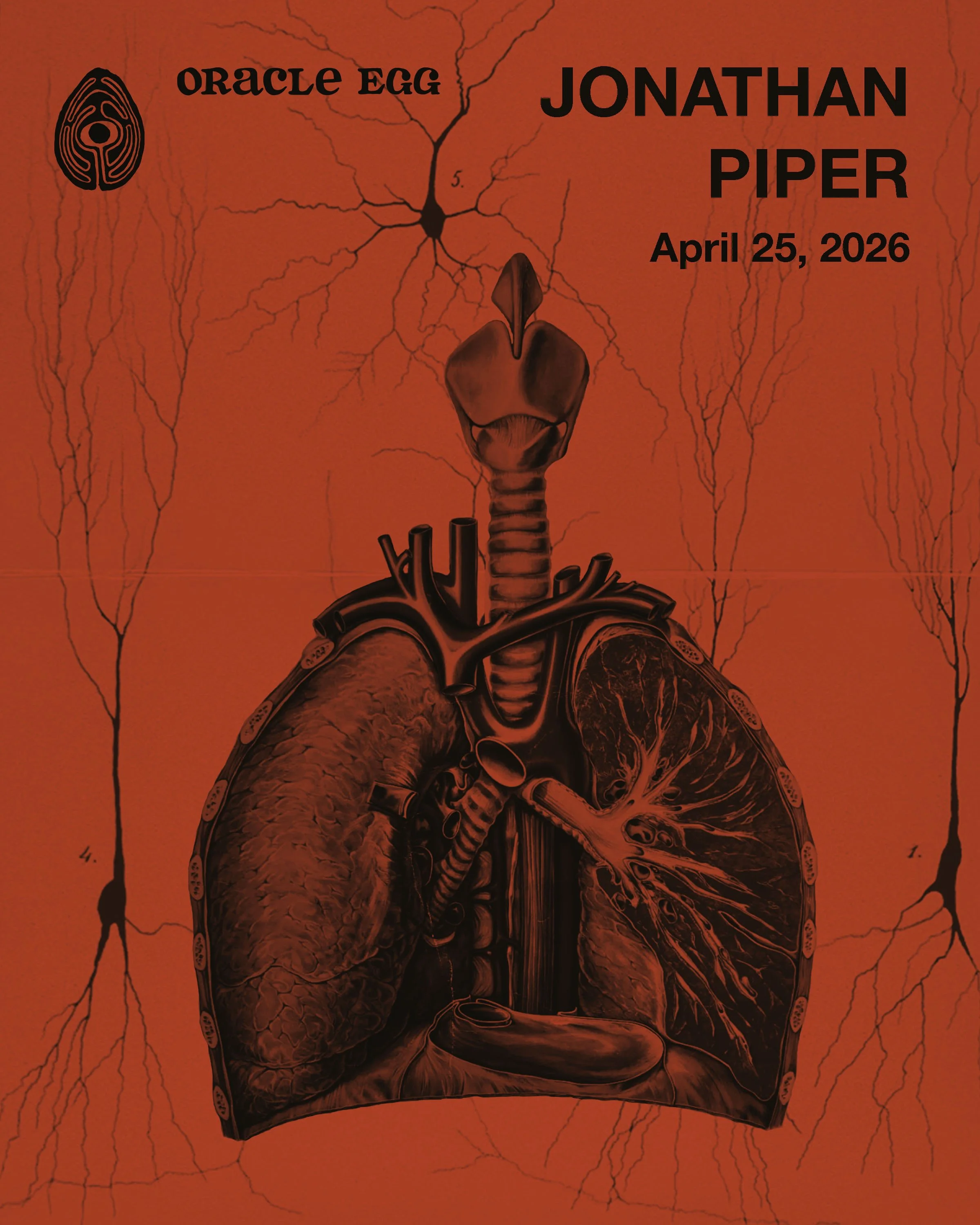 BROILER Residency: Jonathan Piper “organs and machines”