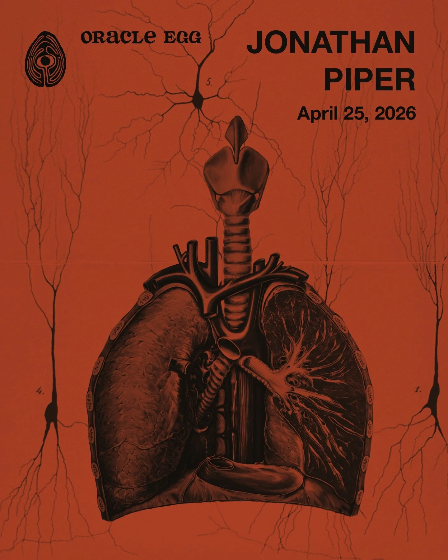 𝖔𝖗𝖌𝖆𝖓𝖘 𝖆𝖓𝖉 𝖒𝖆𝖈𝖍𝖎𝖓𝖊𝖘
by Jonathan Piper

Jonathan Piper interrogates the relationship - and division - between body and instrument. The tuba is deconstructed, bodily process is amplified, and the division of organs and machines is blur