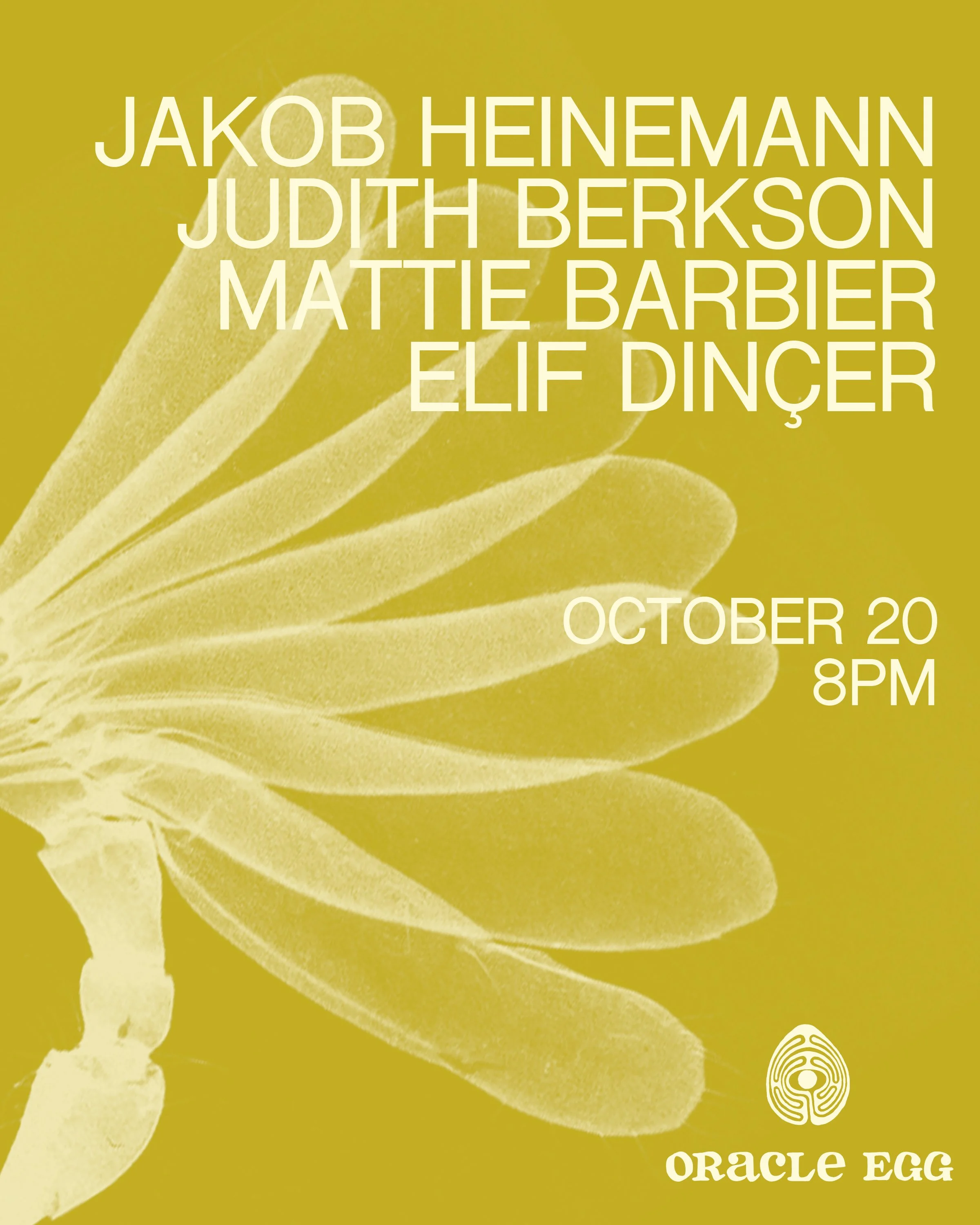 Jakob Heinemann, Judith Berkson, mattie barbier, Elif Dinçer