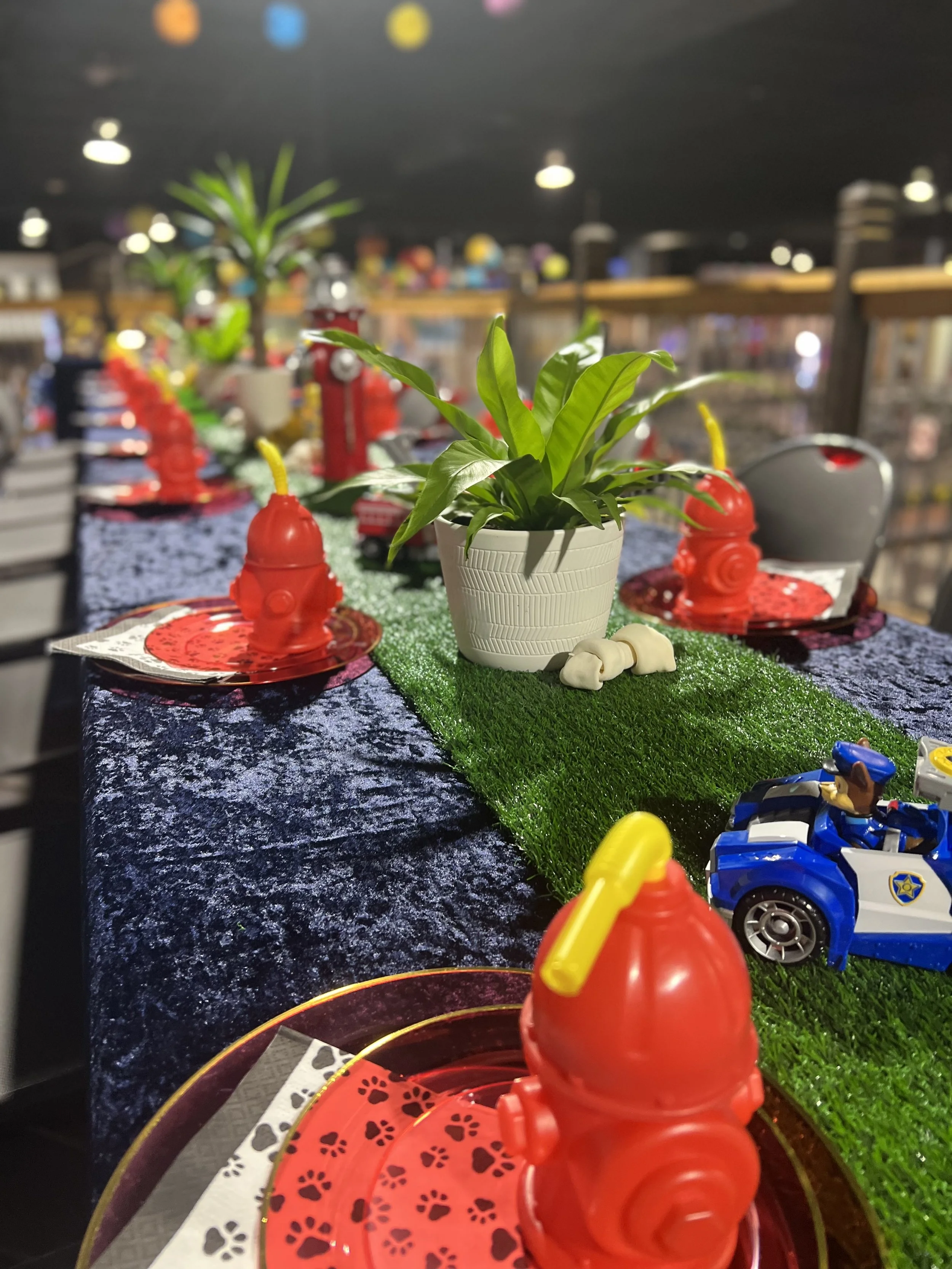 RJ’s Paw Patrol Birthday Paw-ty!